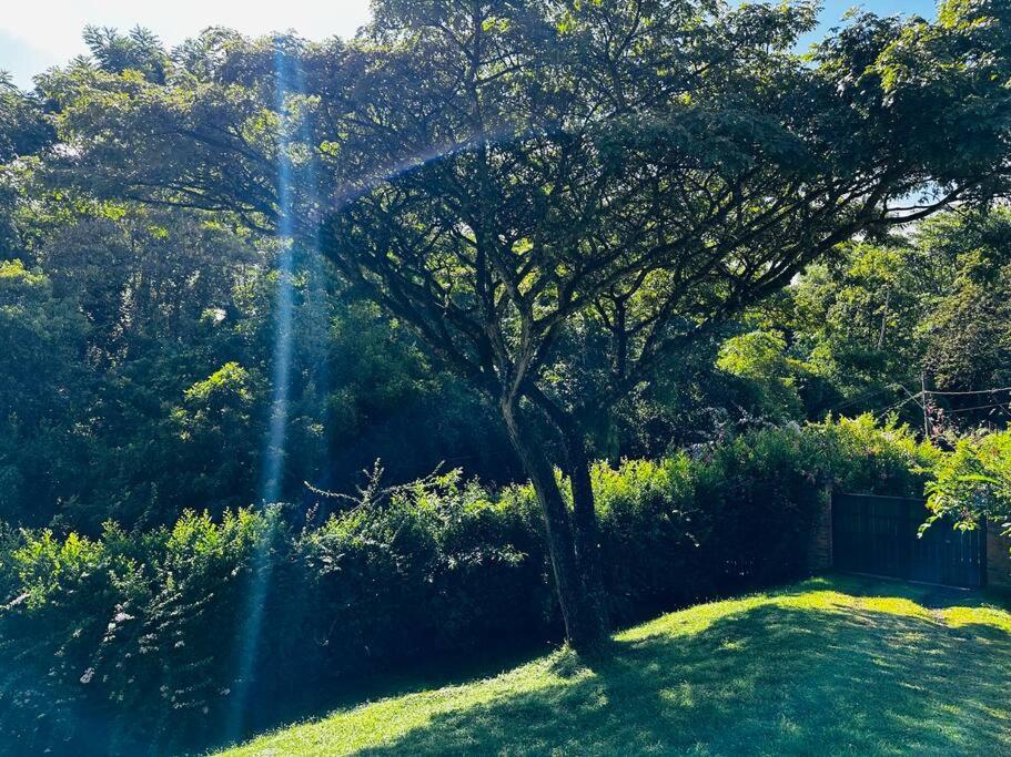 Paraíso Natural - Finca Suroeste