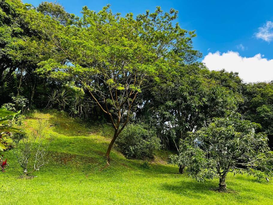 Paraíso Natural - Finca Suroeste