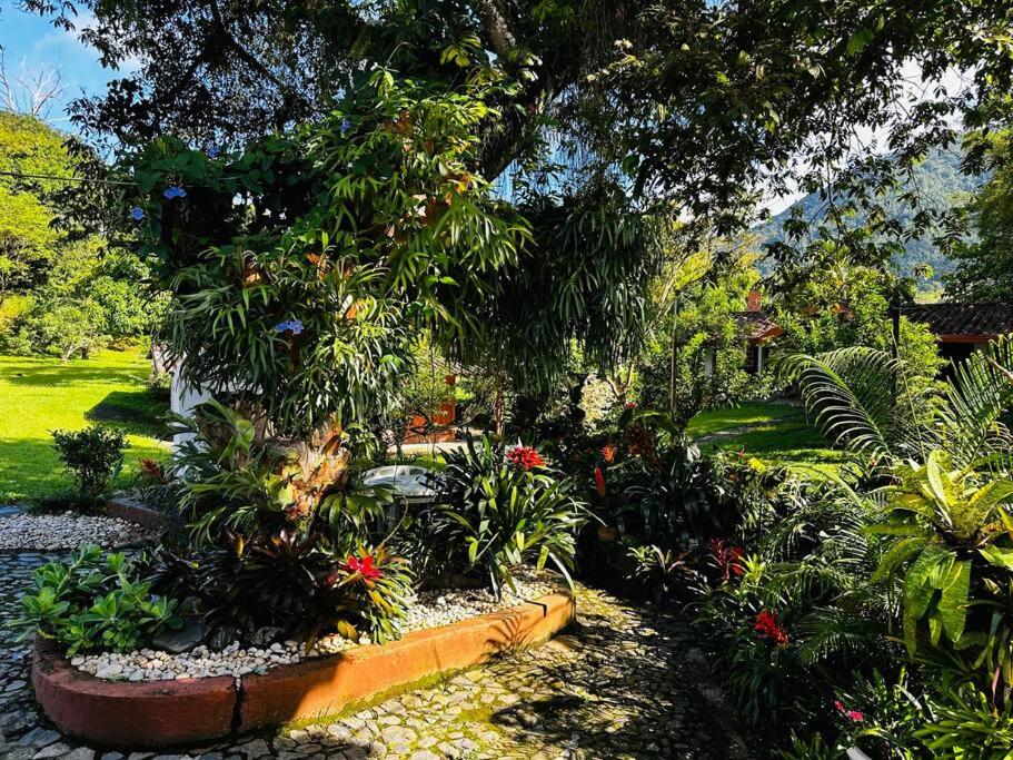 Paraíso Natural - Finca Suroeste