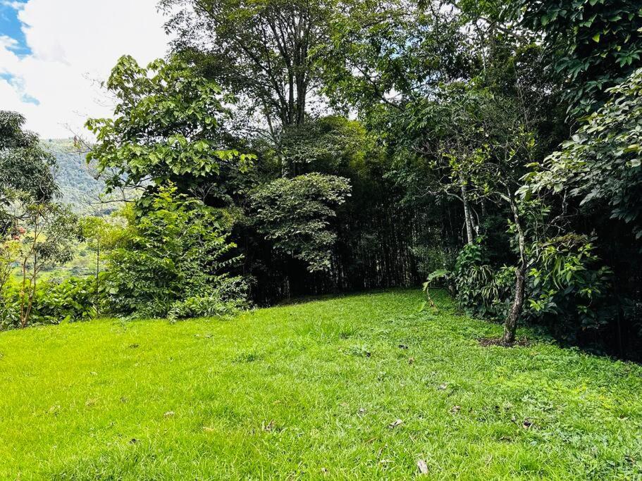Paraíso Natural - Finca Suroeste