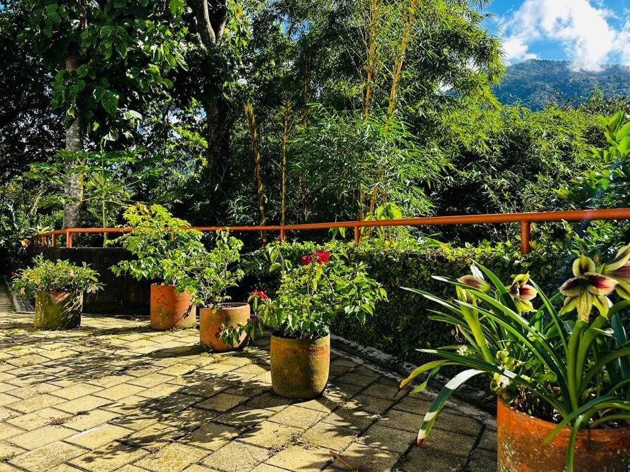 Paraíso Natural - Finca Suroeste