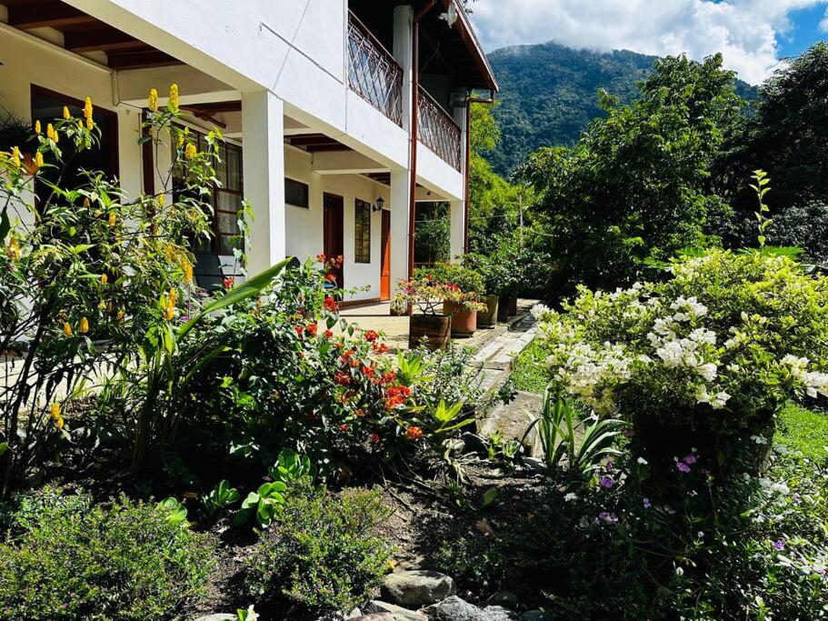 Paraíso Natural - Finca Suroeste
