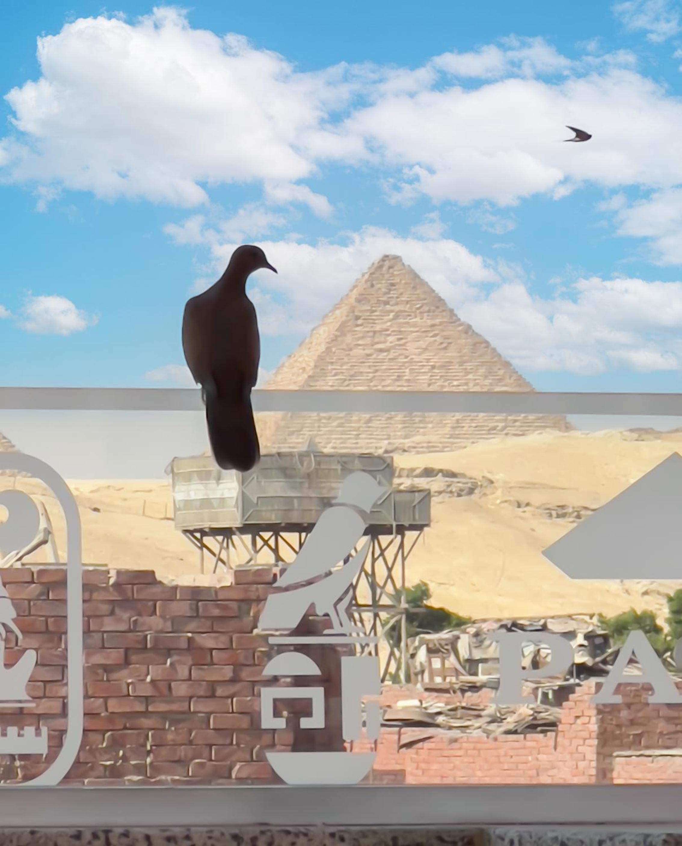 Paradise Pyramids View Inn Hotel