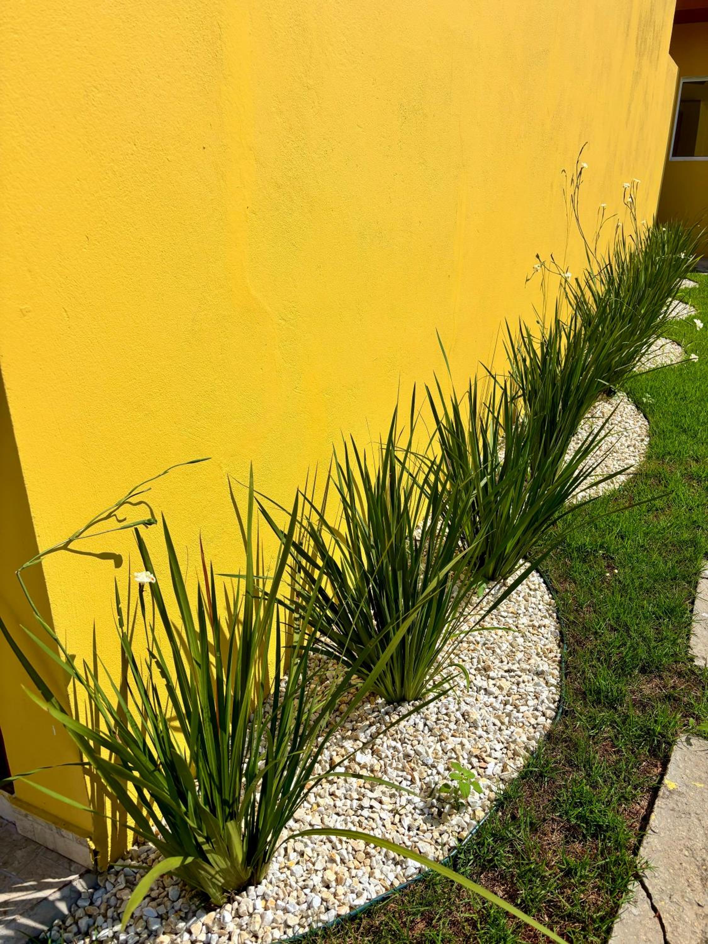 CASA NA PRAIA DO JEQUITIBA - CONDOMÍNIO COM PISCINA E CHURRASQUEIRA INDIVIDUAL - A 500m da praia
