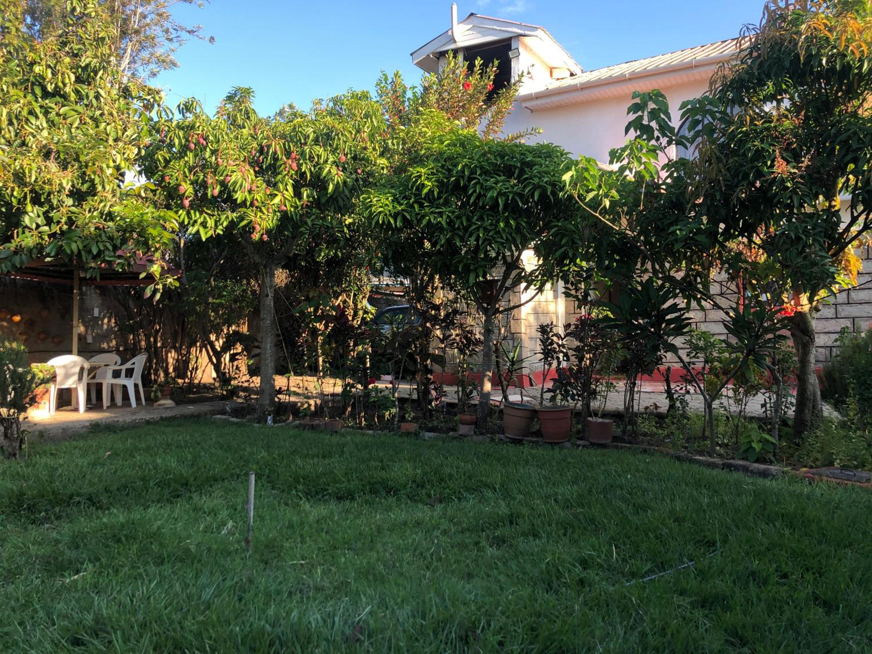 Green Sanctuary