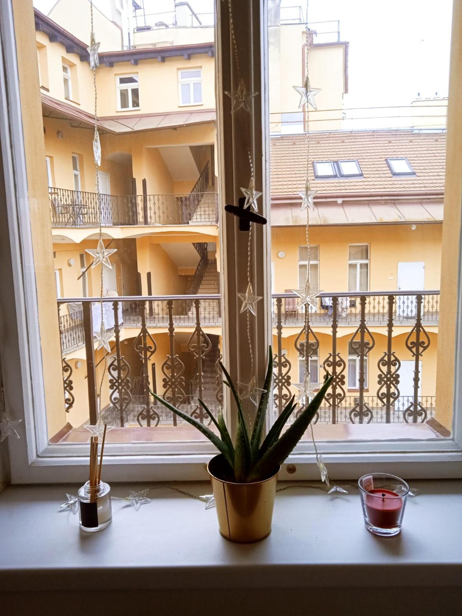 Botanic Garden Apartament Praha Center