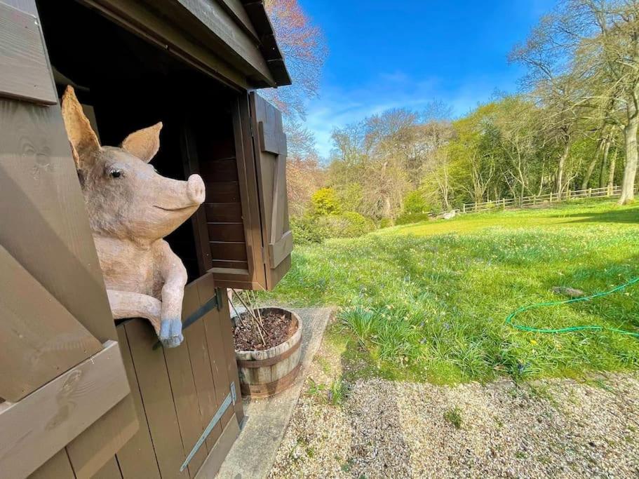 Countryside retreat set within beautiful woodlands with easy access to Henley On Thames view 2