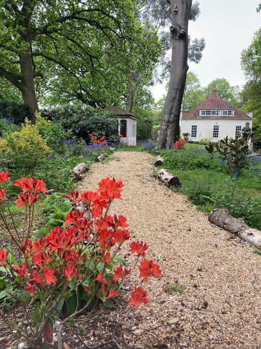 Countryside retreat set within beautiful woodlands with easy access to Henley On Thames view 4