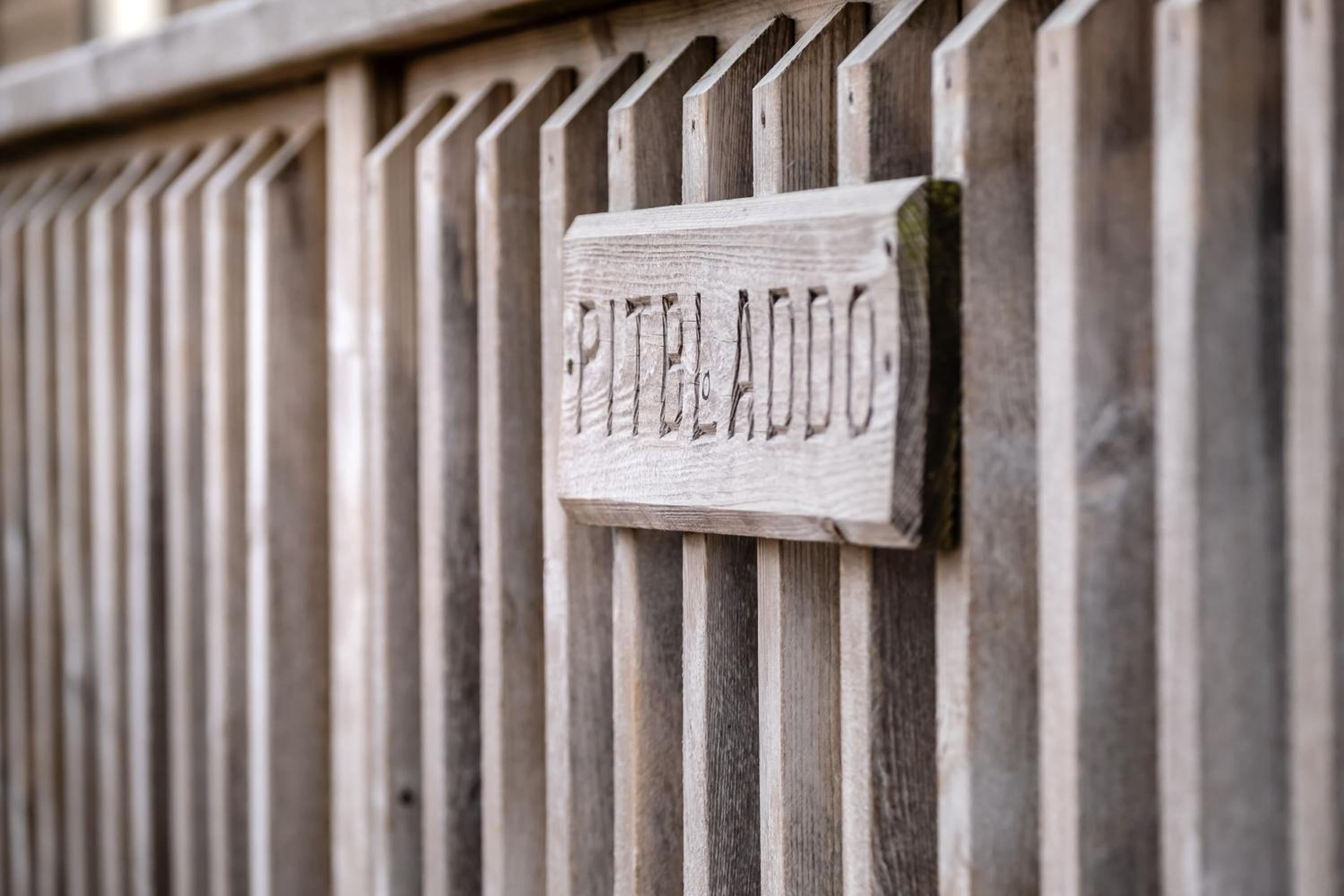 Pitbladdo