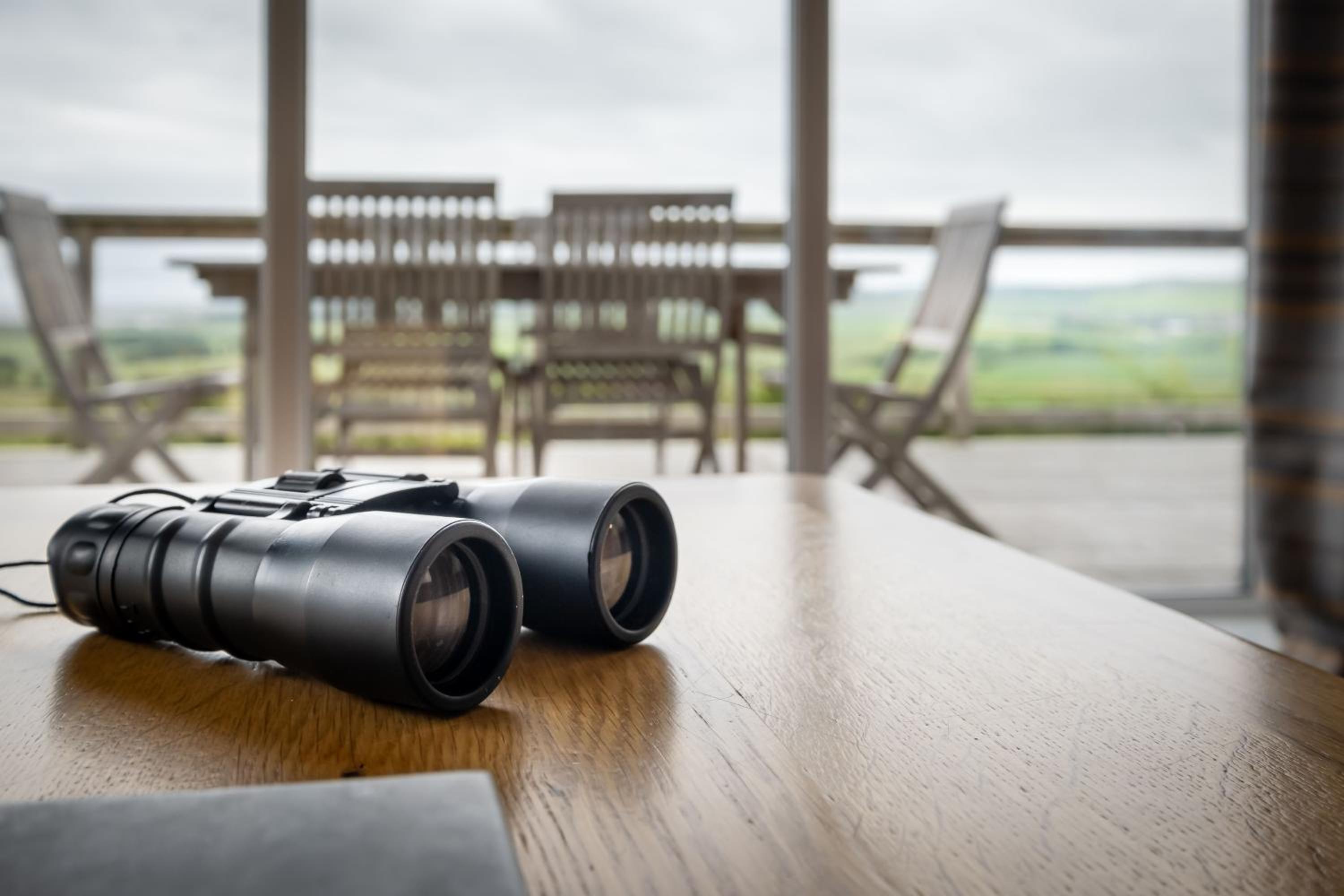 Pitbladdo