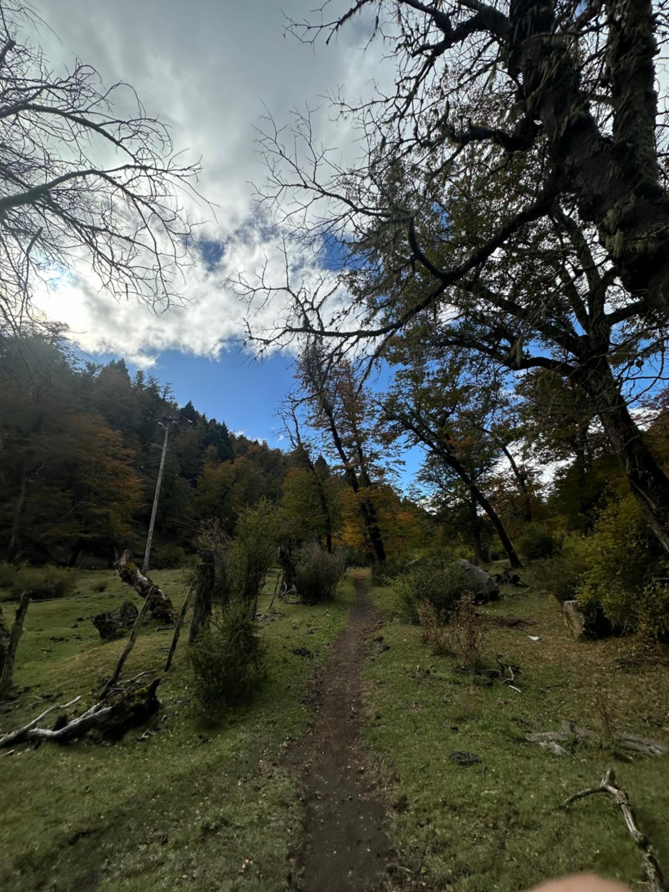 Modernas cabañas en la montaña LAS KIKAS