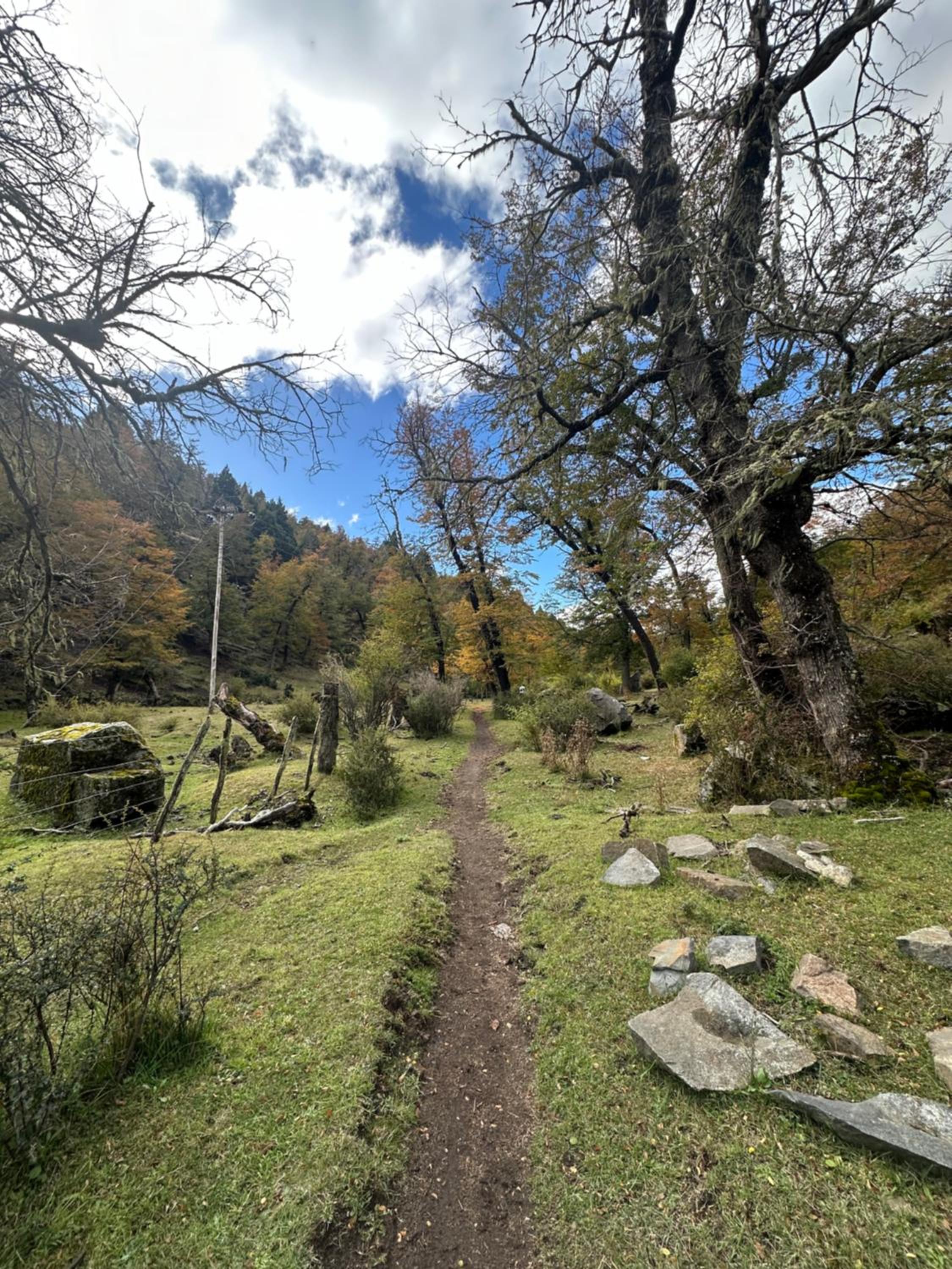 Modernas cabañas en la montaña LAS KIKAS
