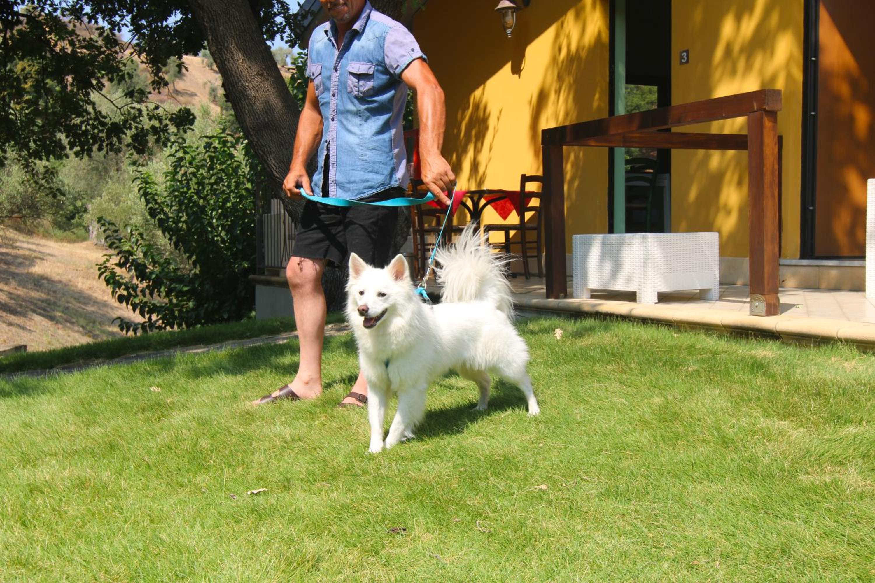 Agriturismo Vulcano