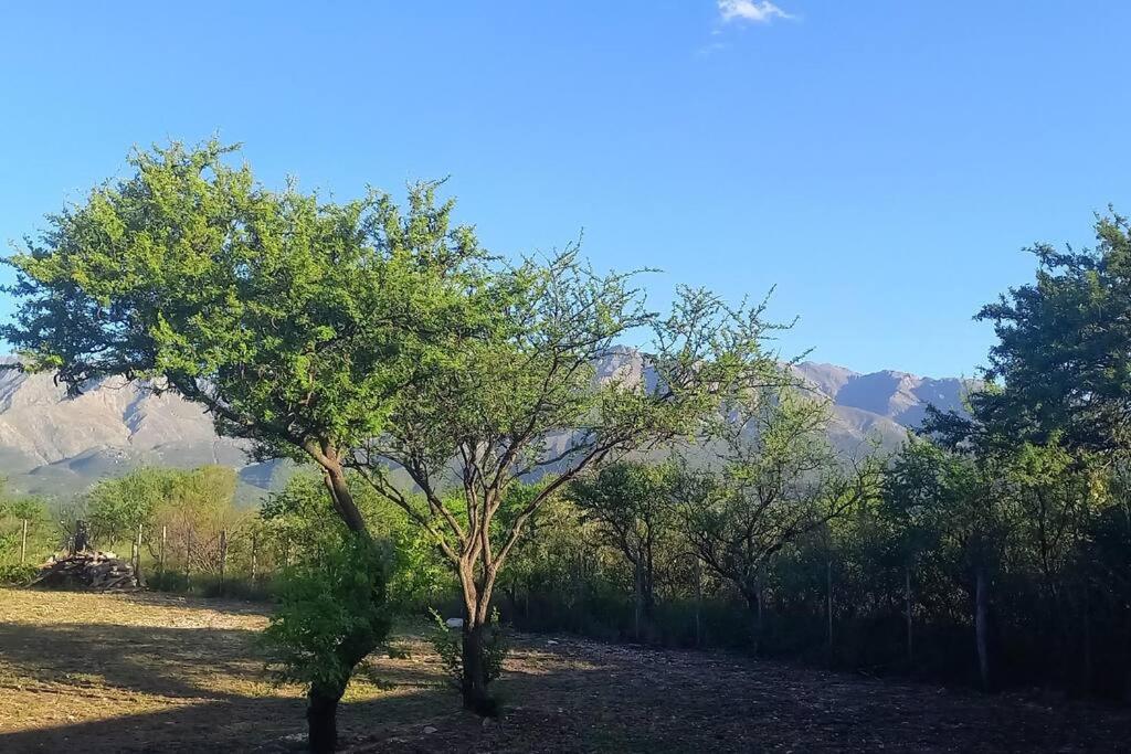 Casa Despertares - Las Rabonas