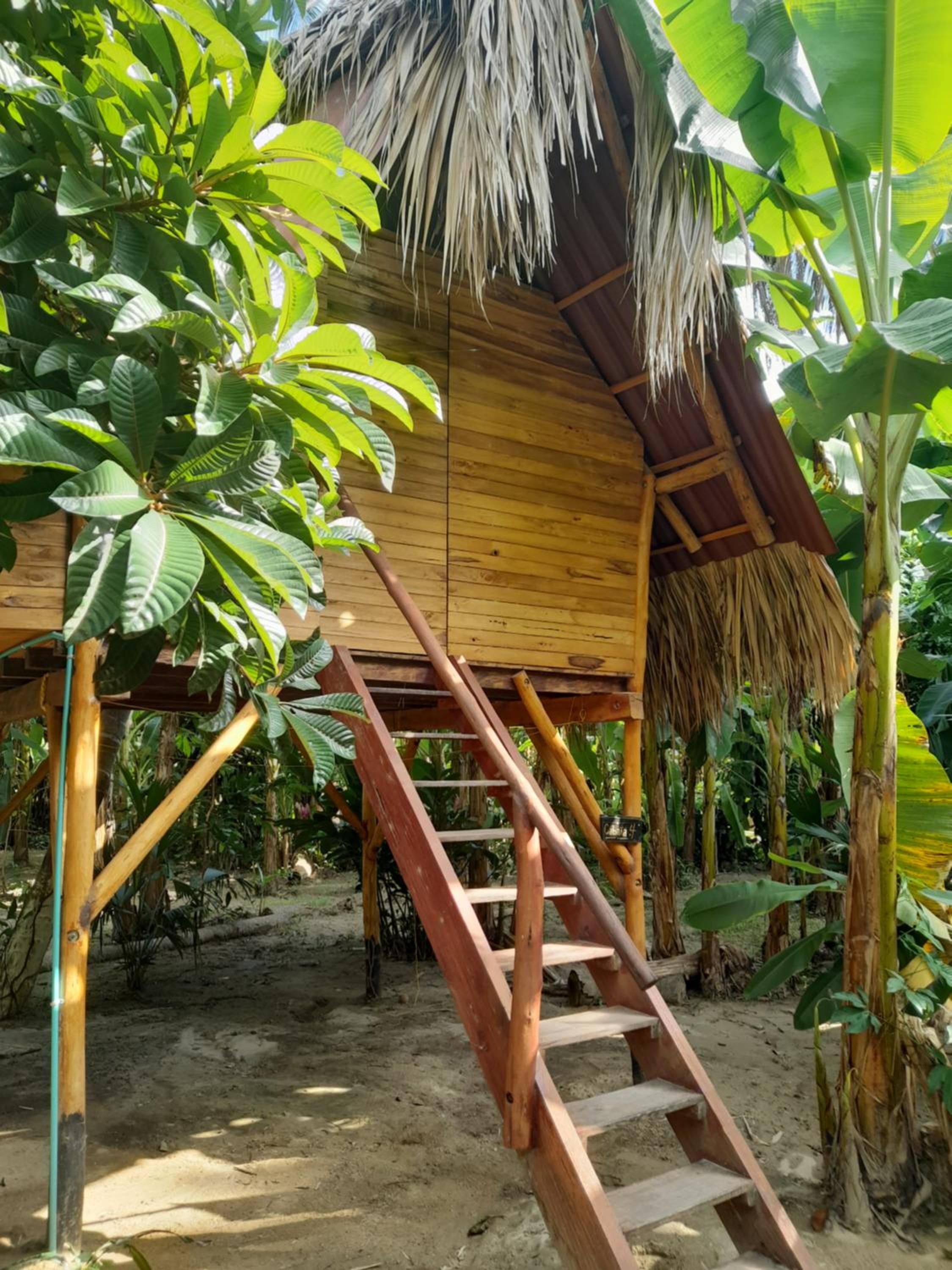 La Playita