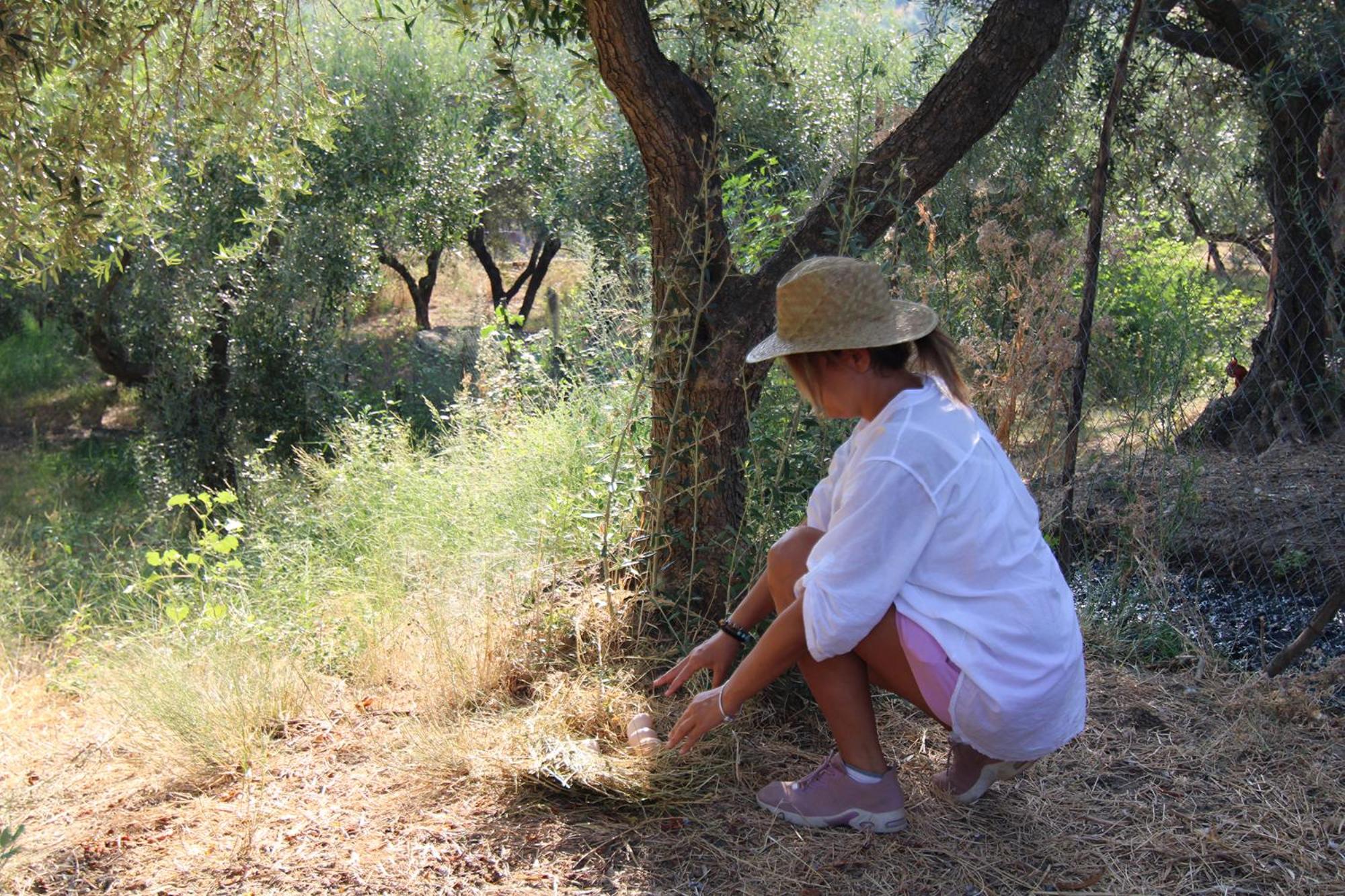 Agriturismo Vulcano