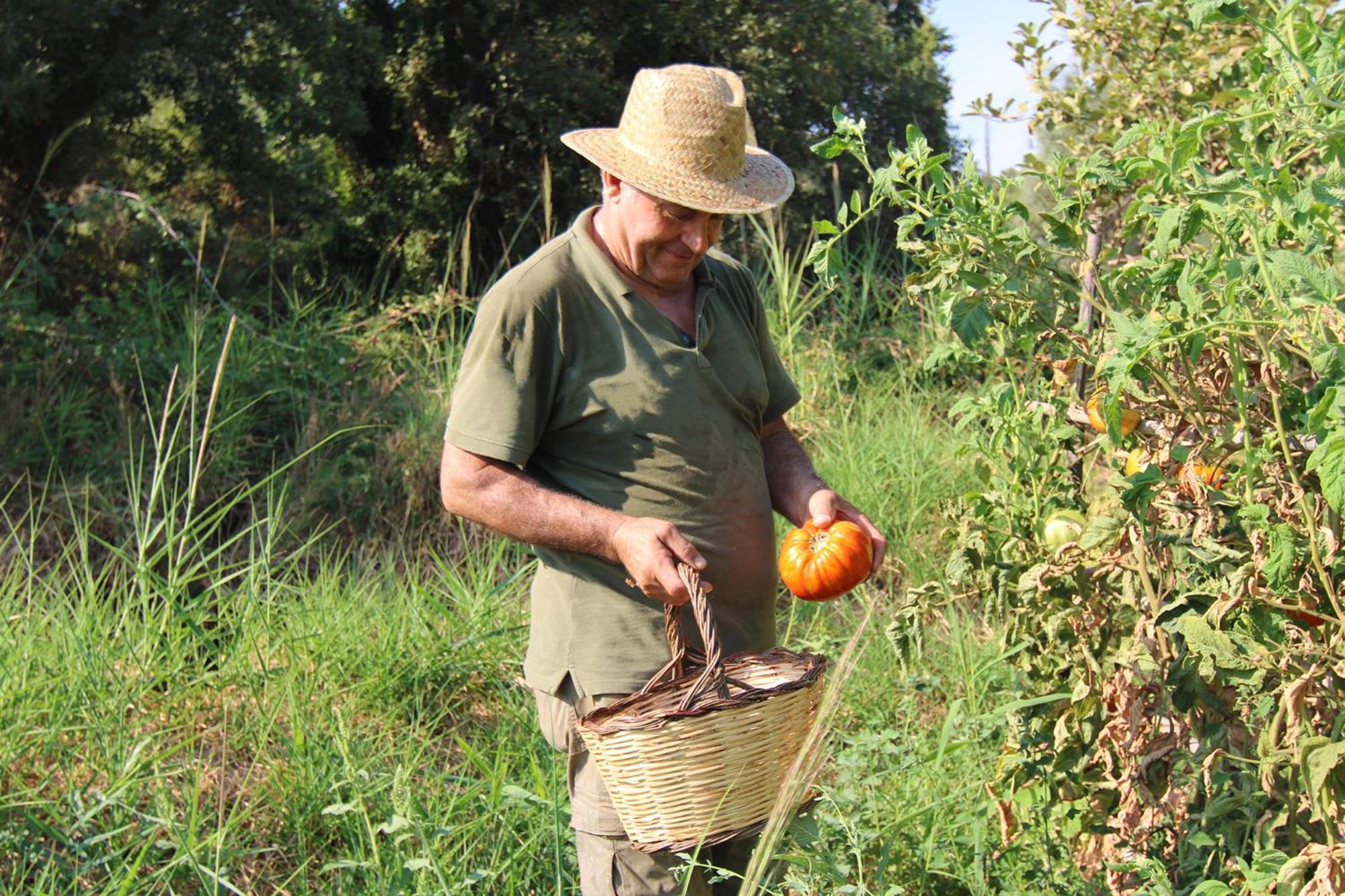 Agriturismo Vulcano