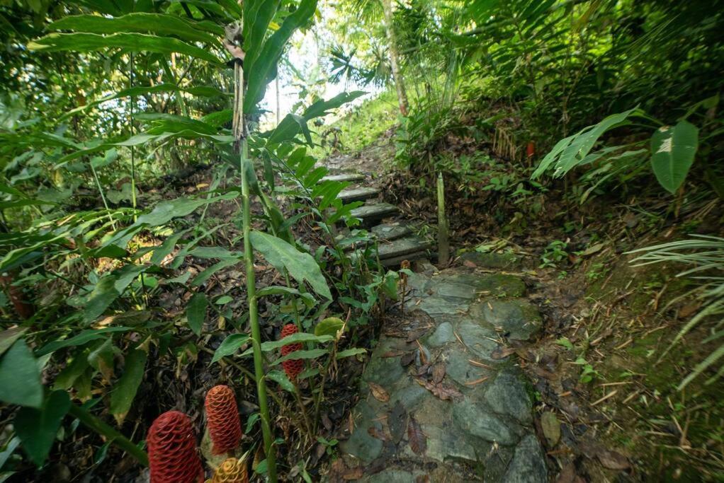 Finca el Caracolí