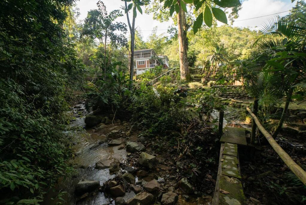 Finca el Caracolí