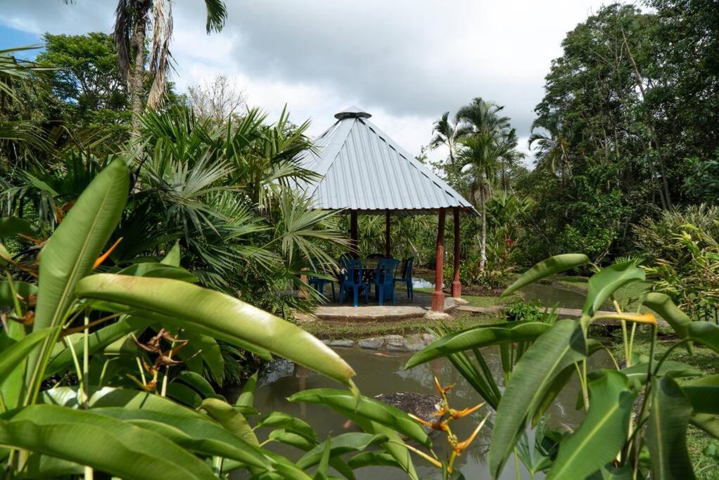 Finca el Caracolí