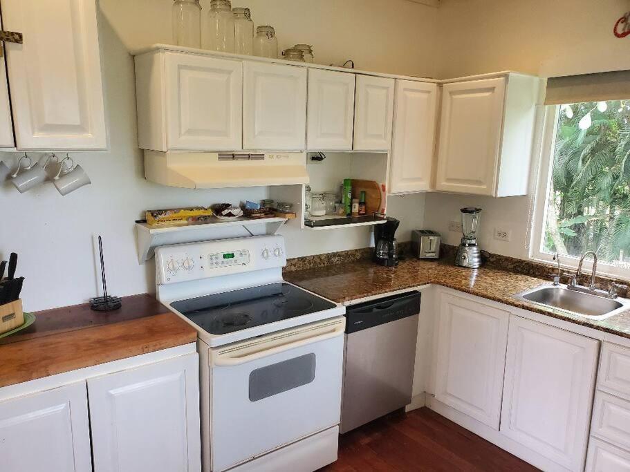 #8 Ocean view Beach Front Bungalow 2nd Row