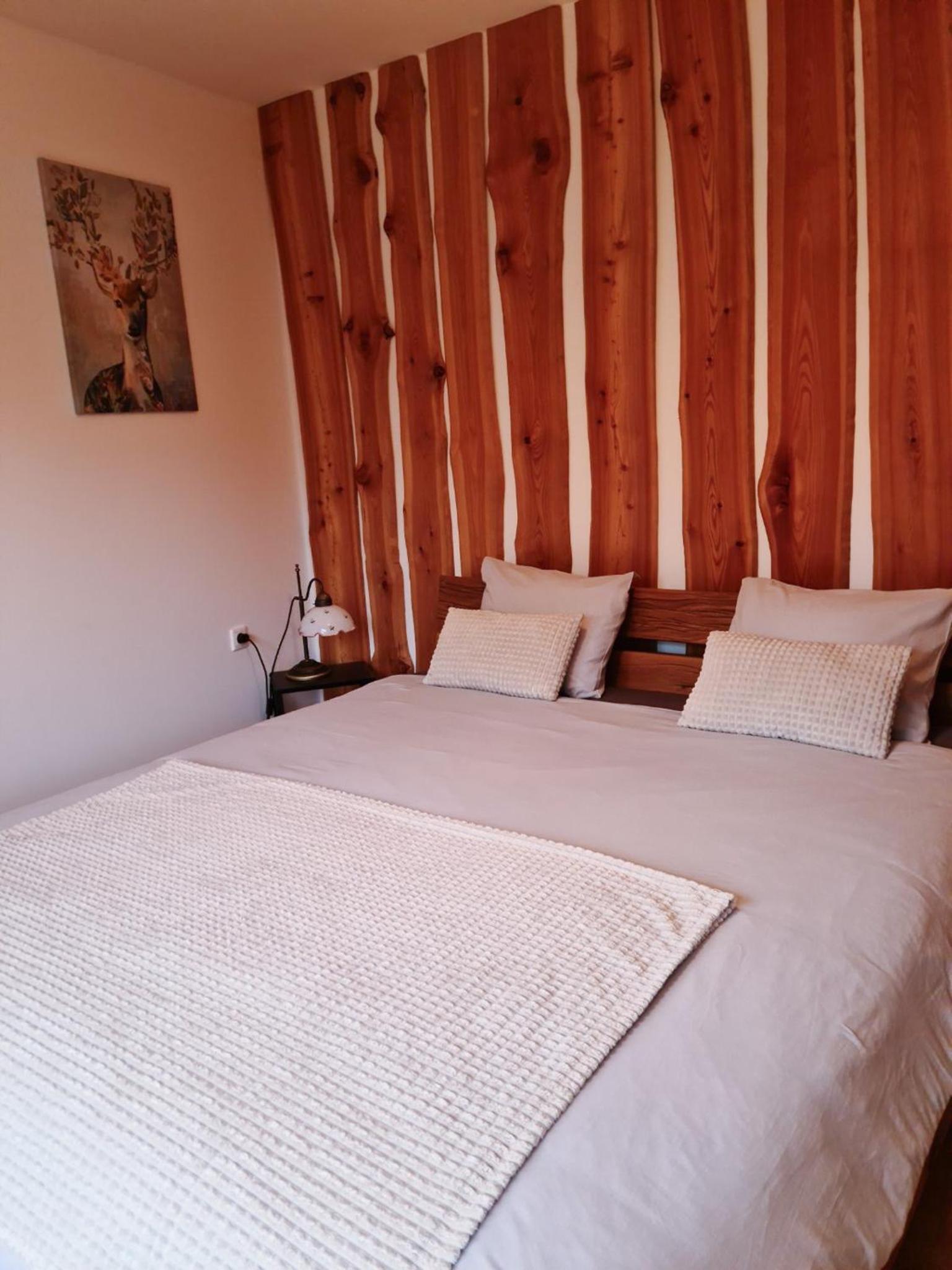 APARTMA JEREBIKA ŠT. 20 view 3