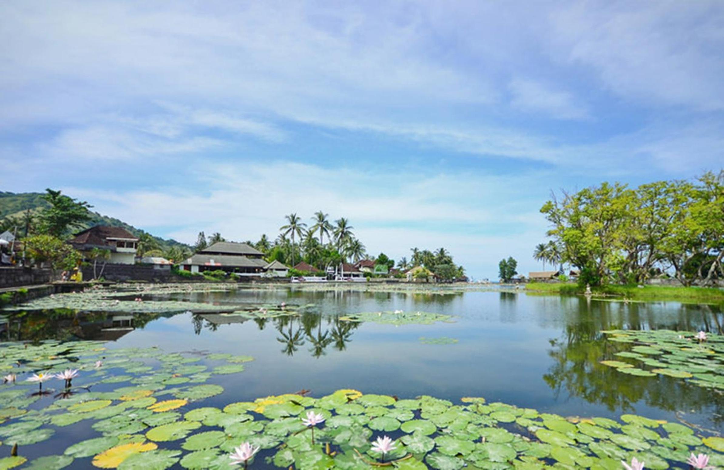 Bali Sunset Villa view 4