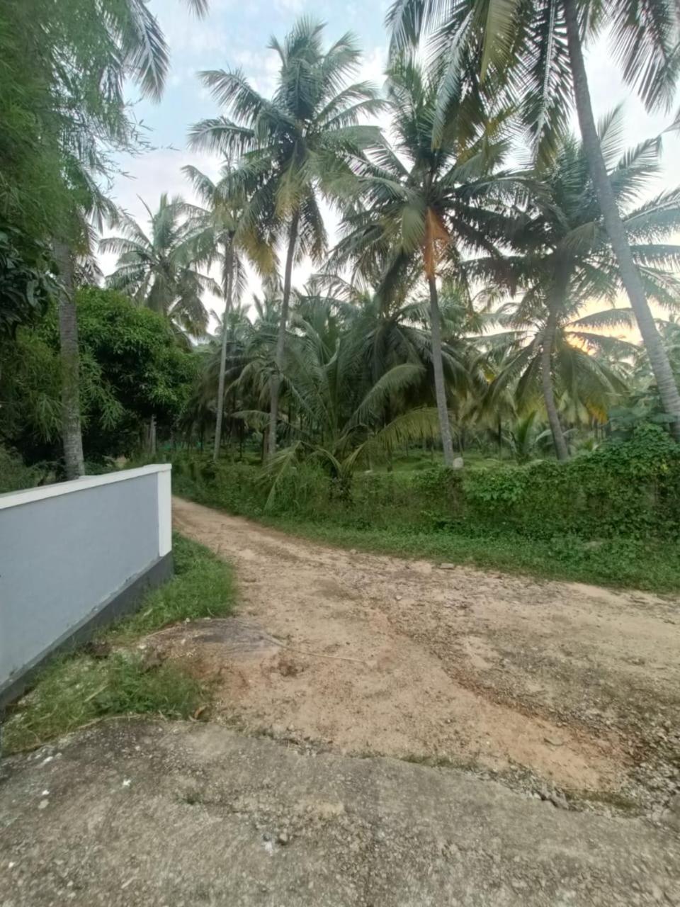 Evergreen Homestay