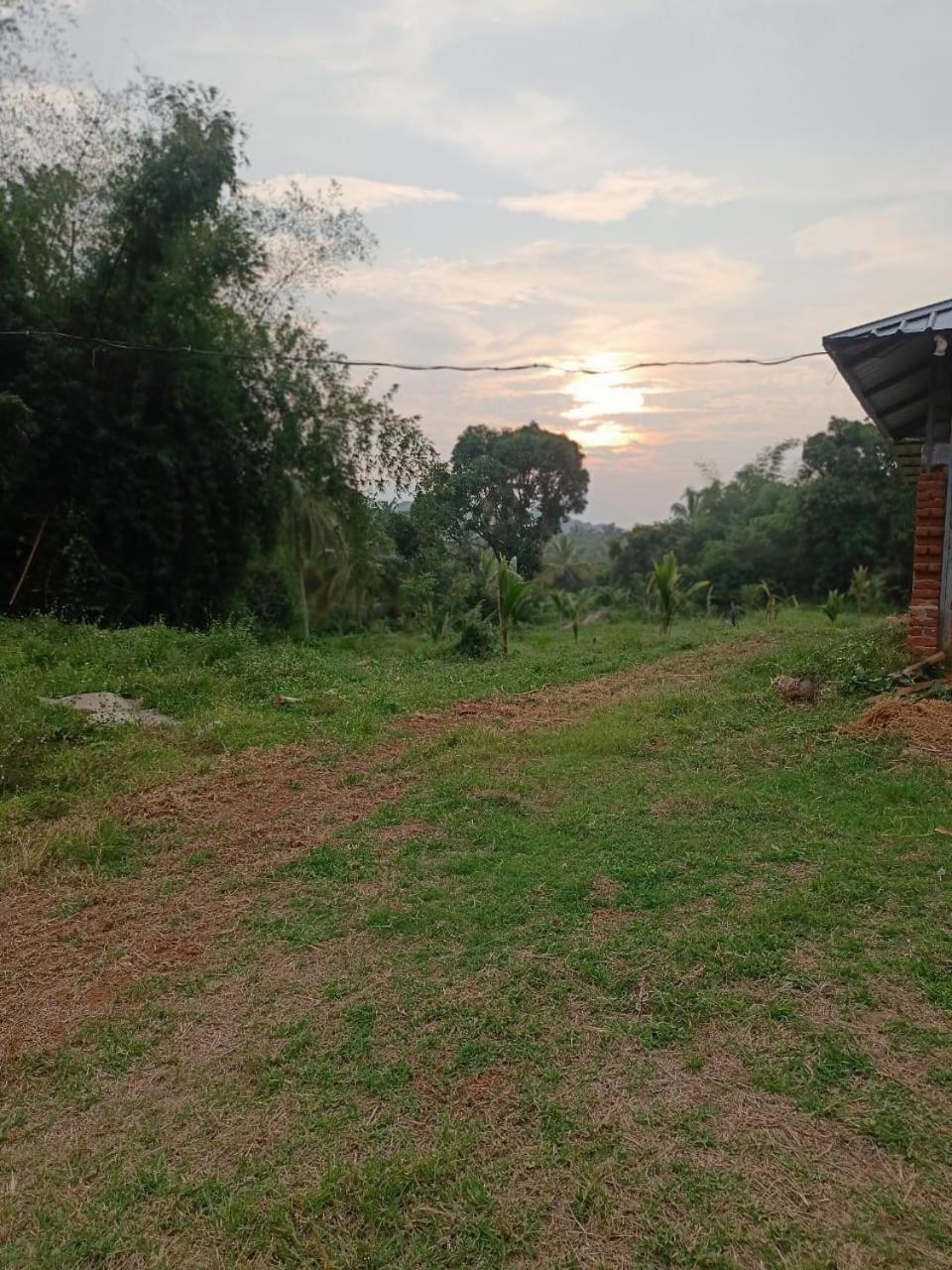 Evergreen Homestay