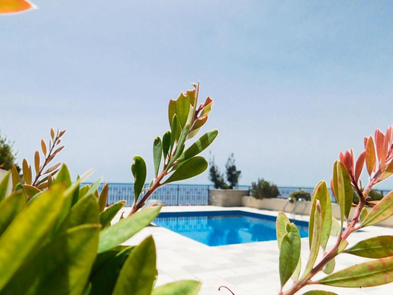 Casa Oliva Villas with Private Heated Pools and Guest Apartments-No Pool Access view 3