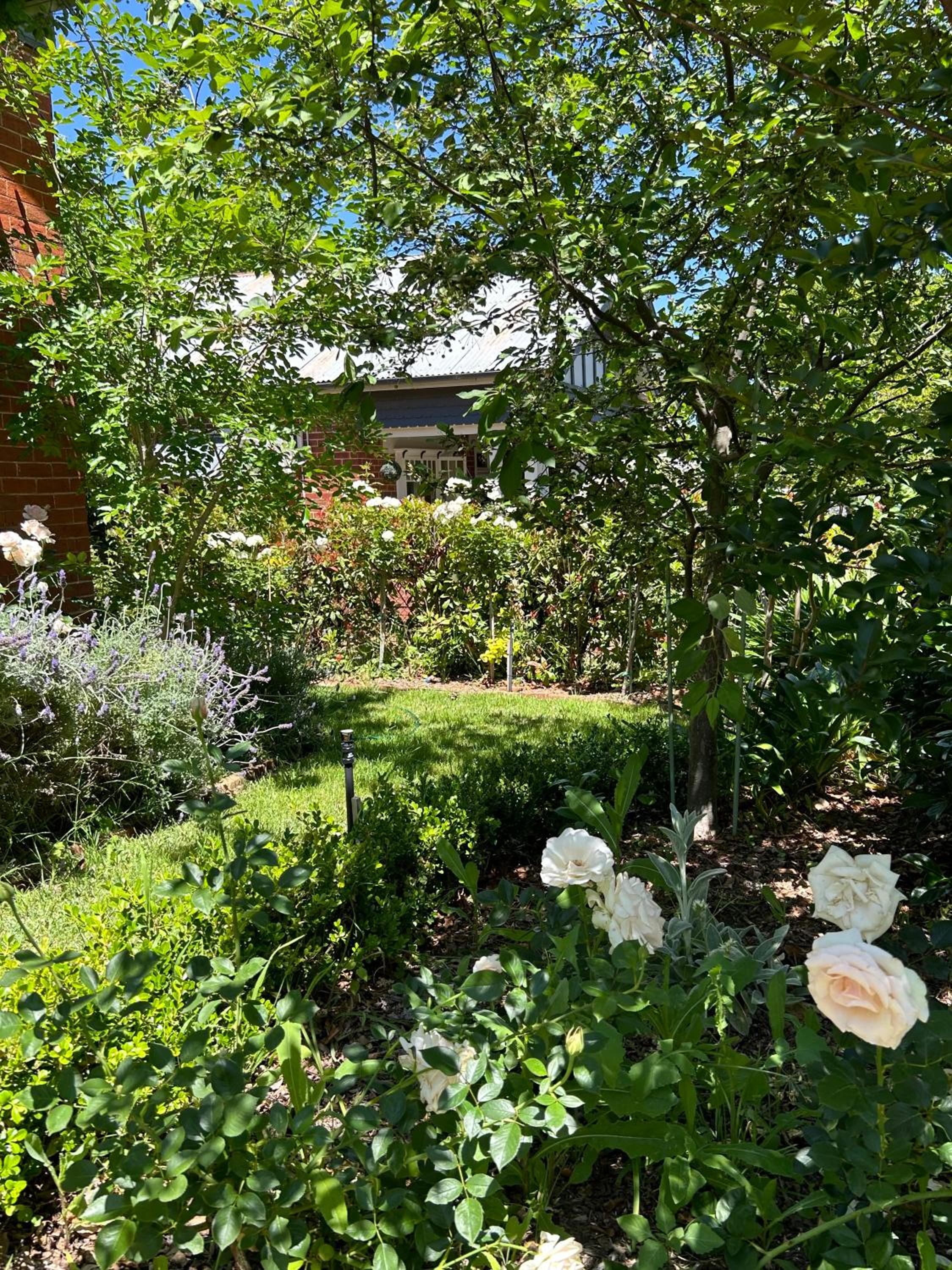 Fitzroy House - Federation charm near town centre