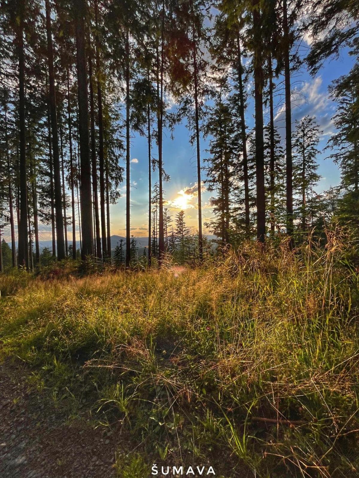 Horizont Šumava