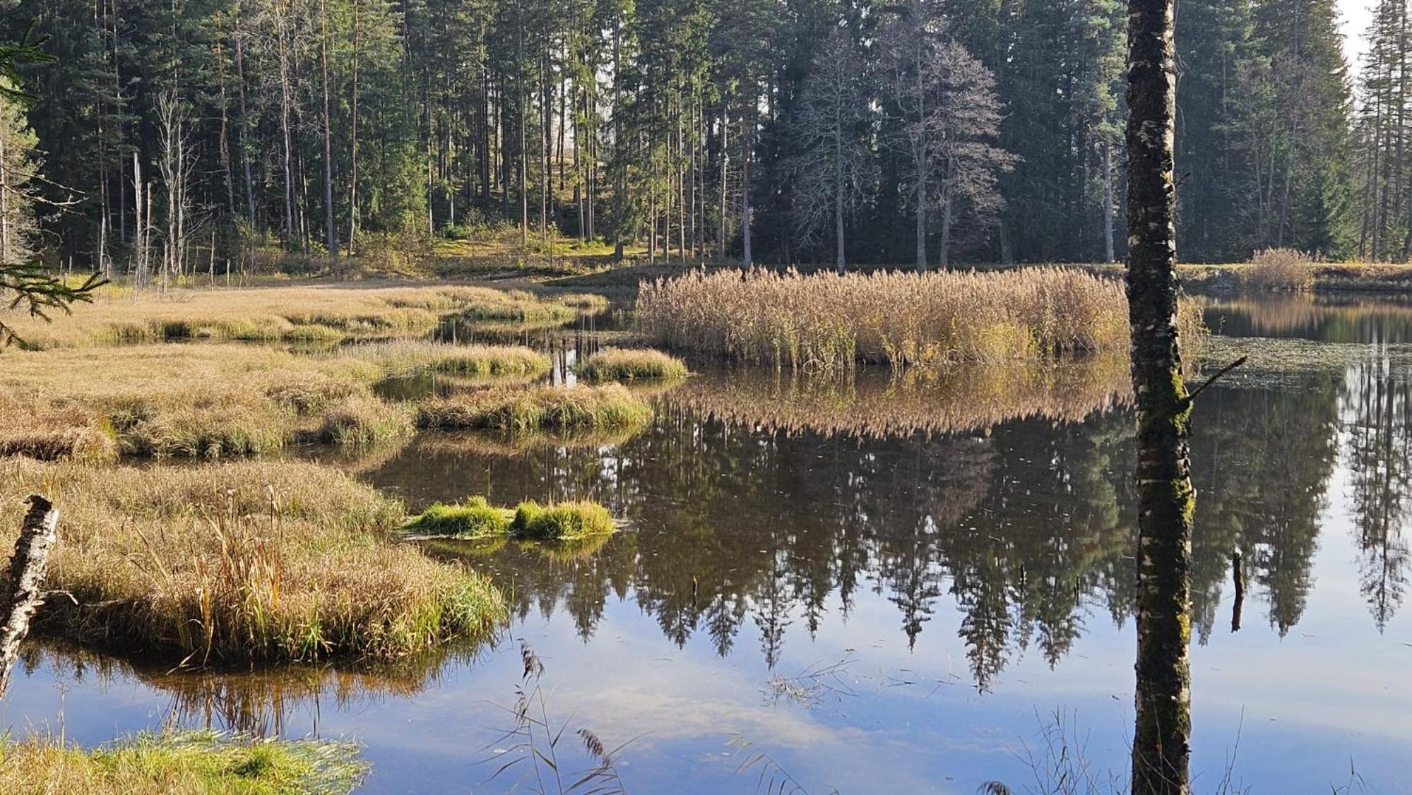 Horizont Šumava