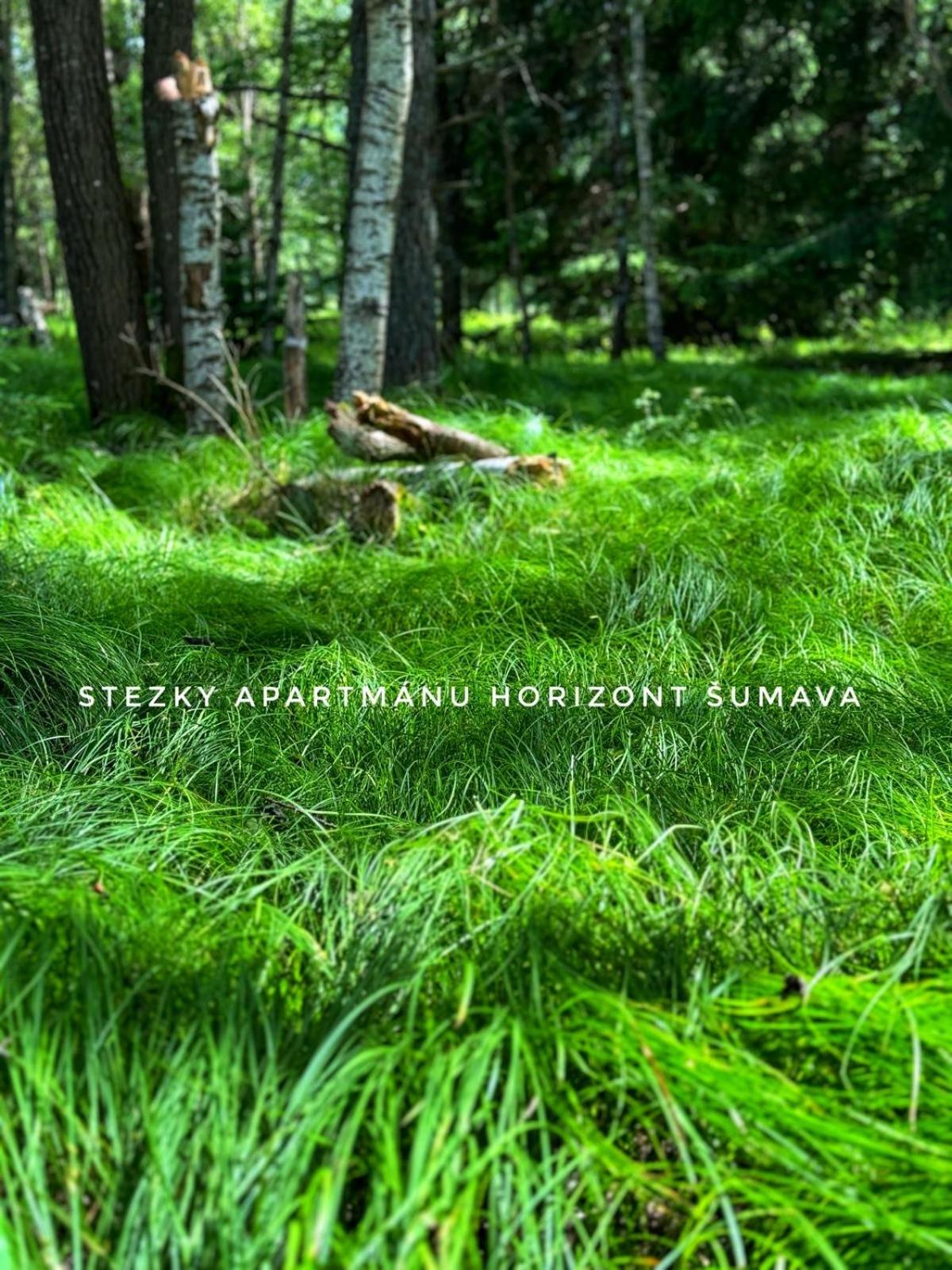 Horizont Šumava