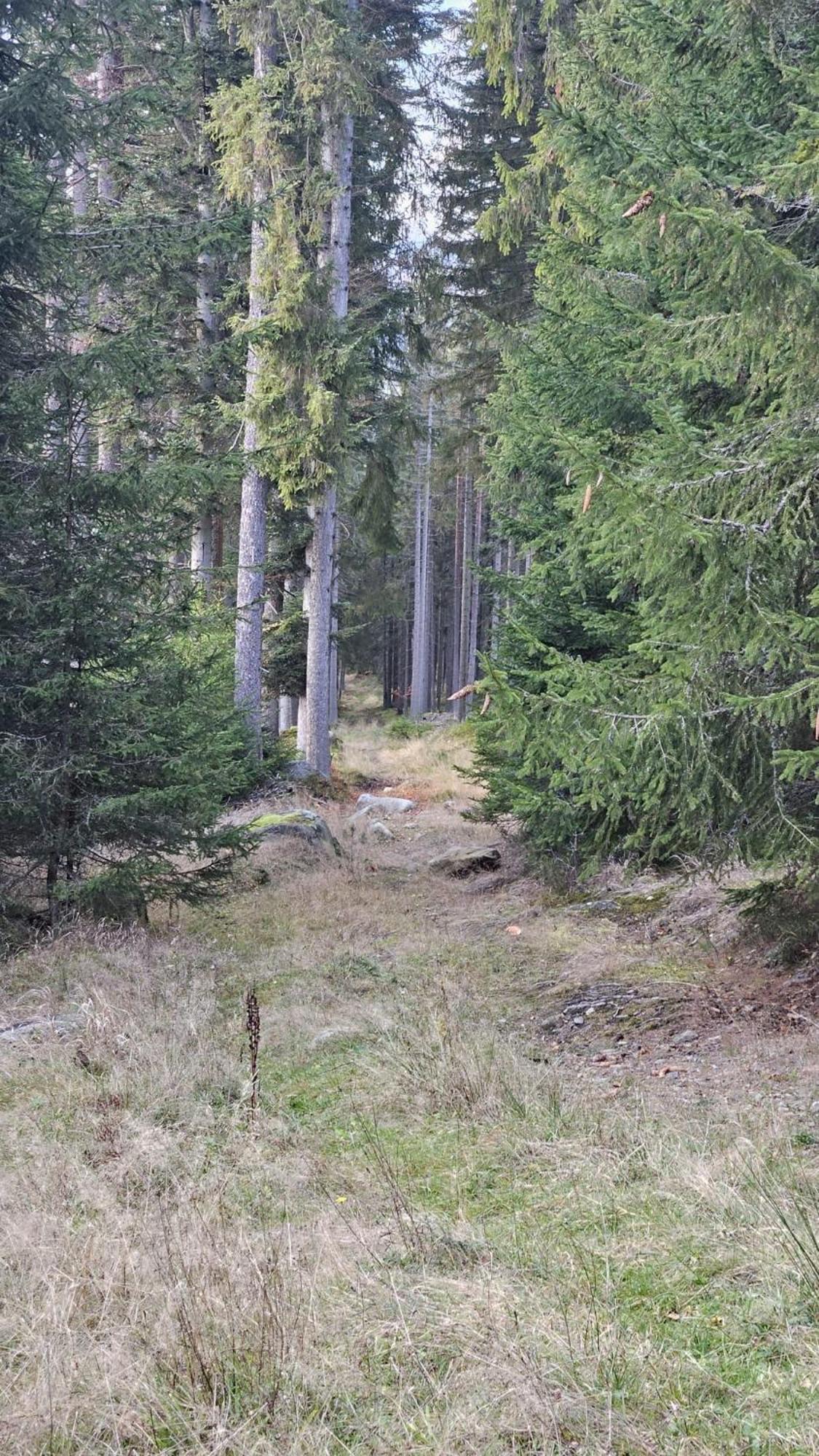 Horizont Šumava