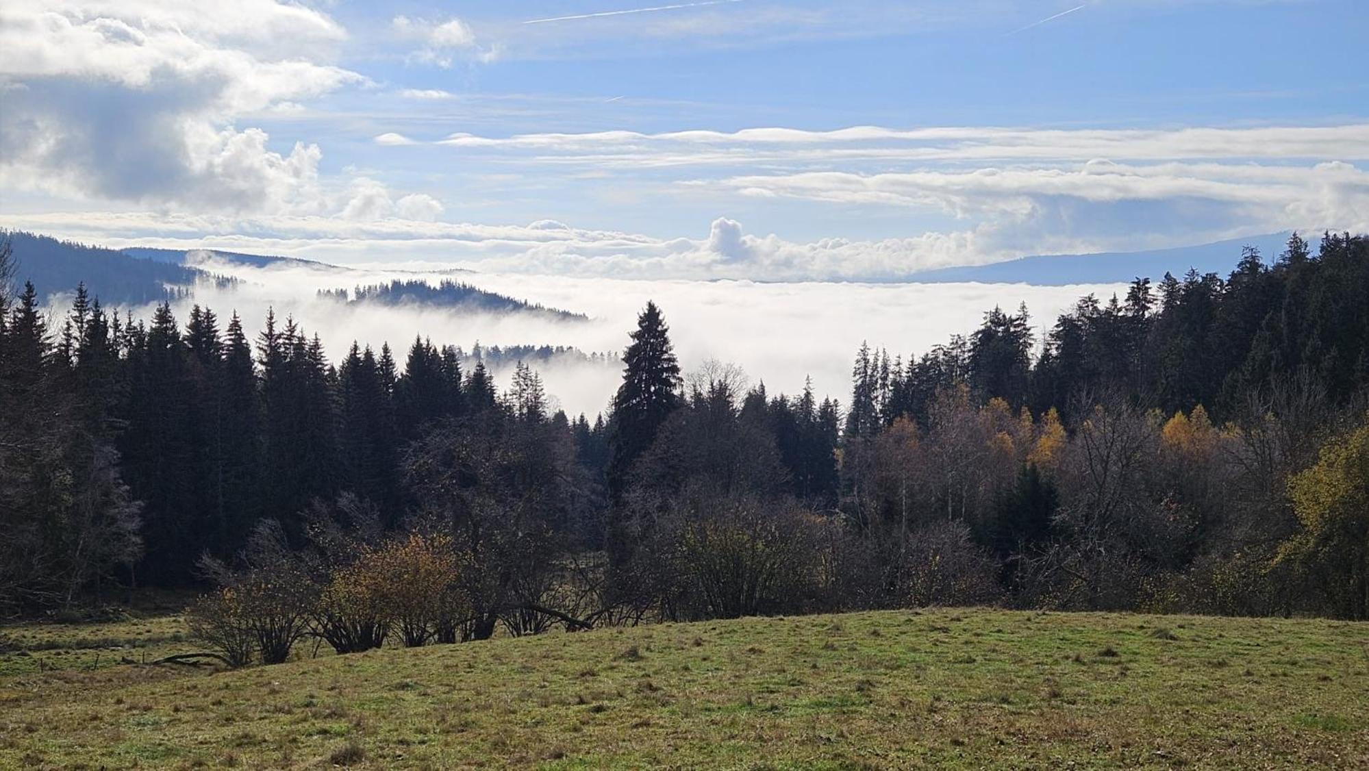 Horizont Šumava