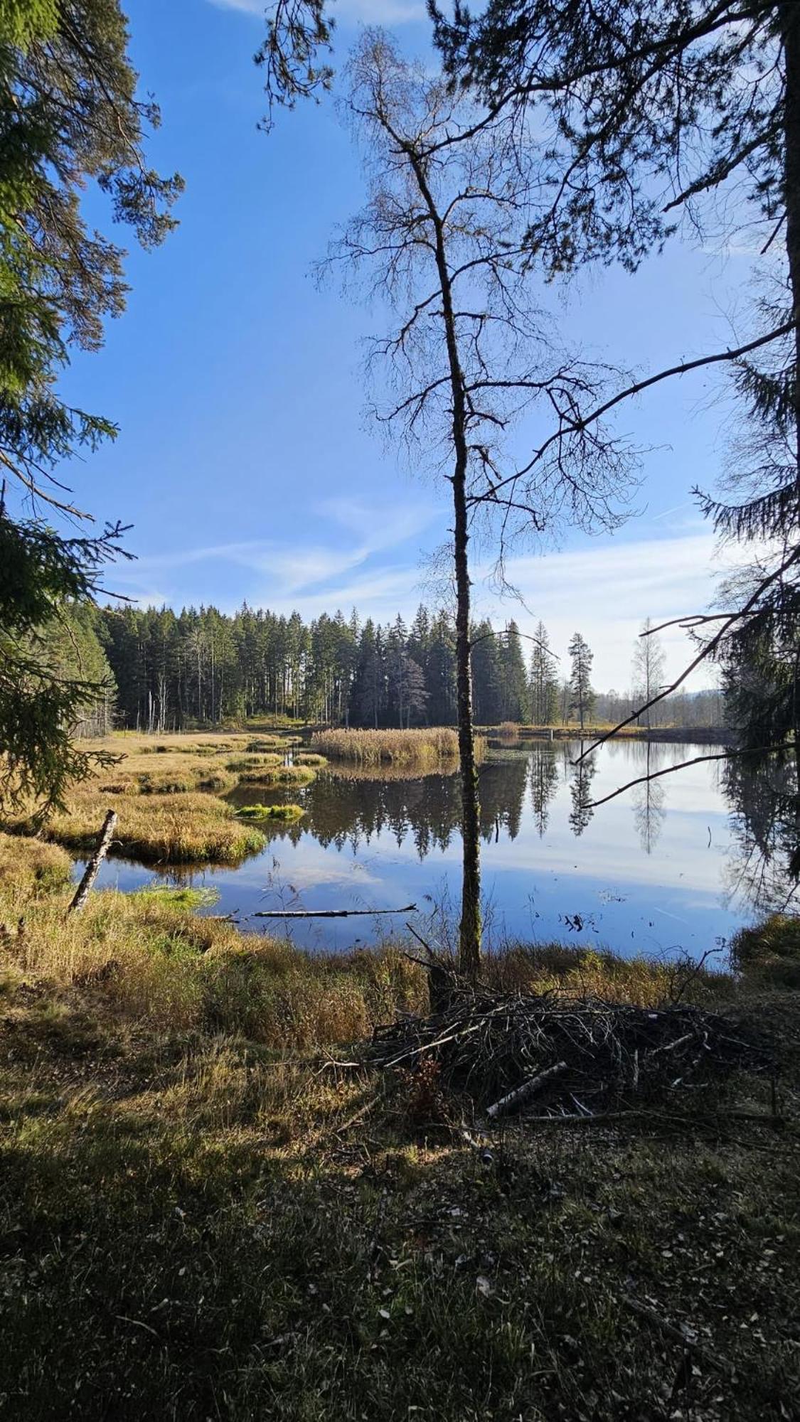 Horizont Šumava