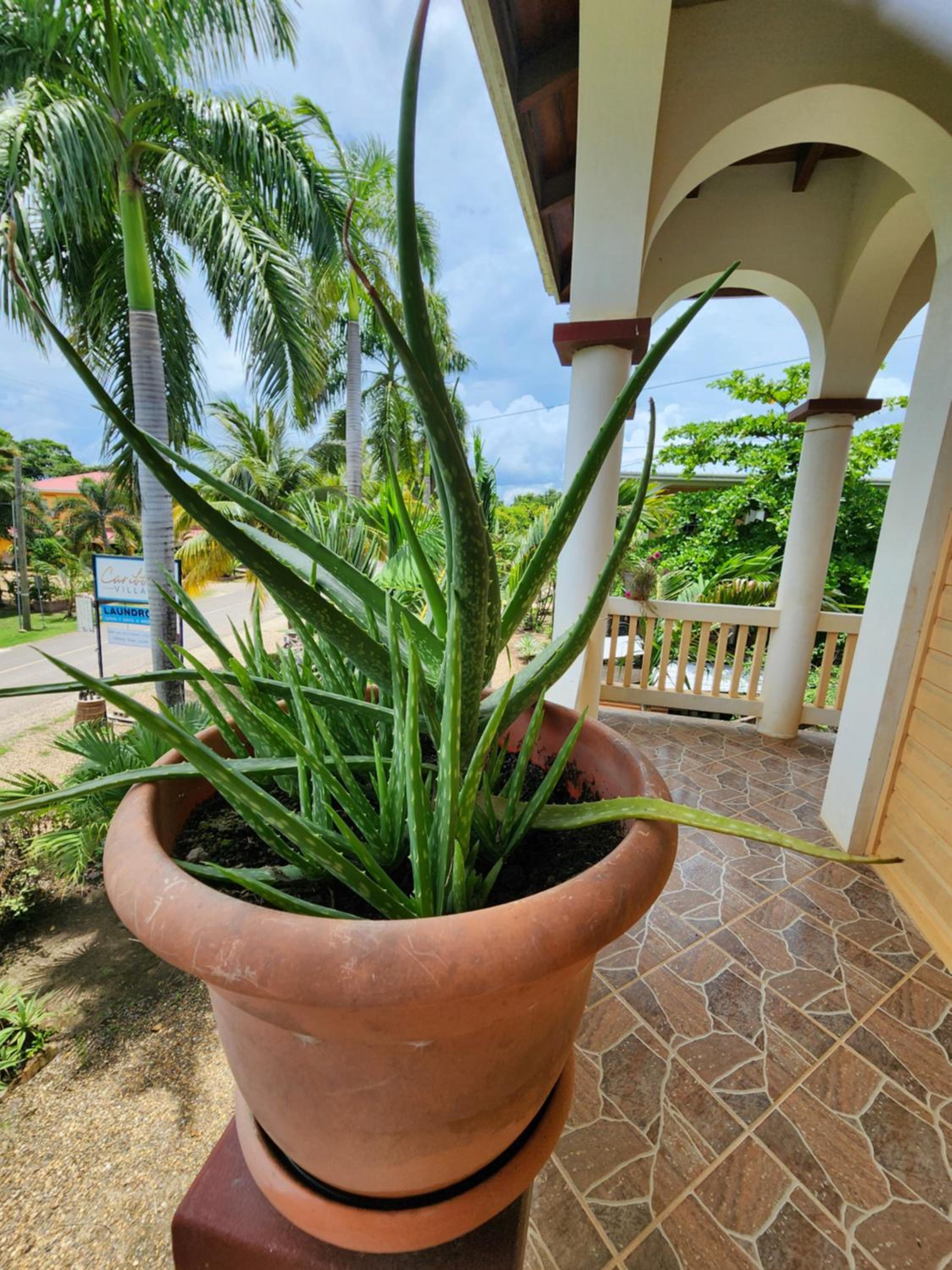 Caribbean Shores Belize