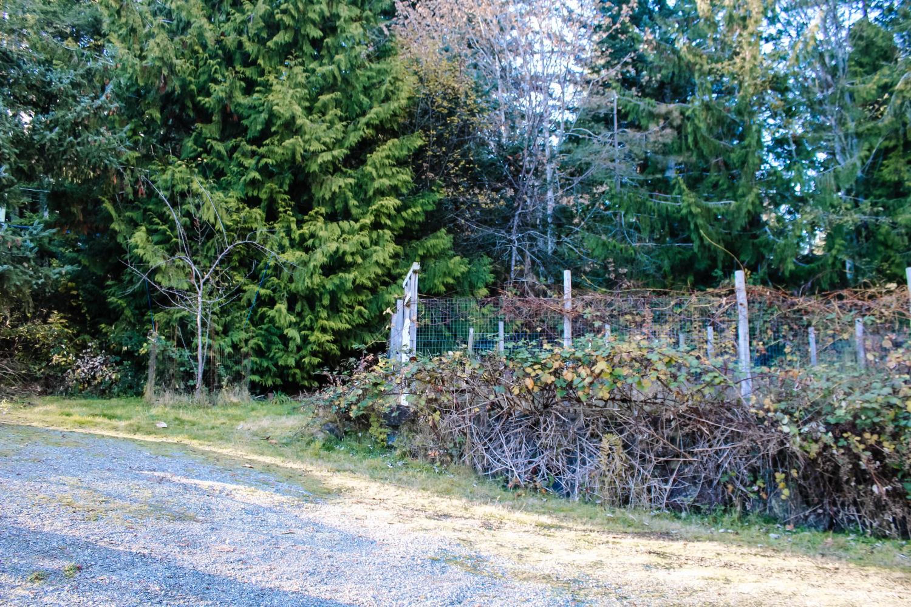 Sooke Vacations - Otter Point Getaway - Property Image 4