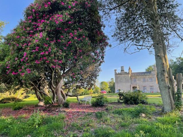 Llanerchydol Hall Suites