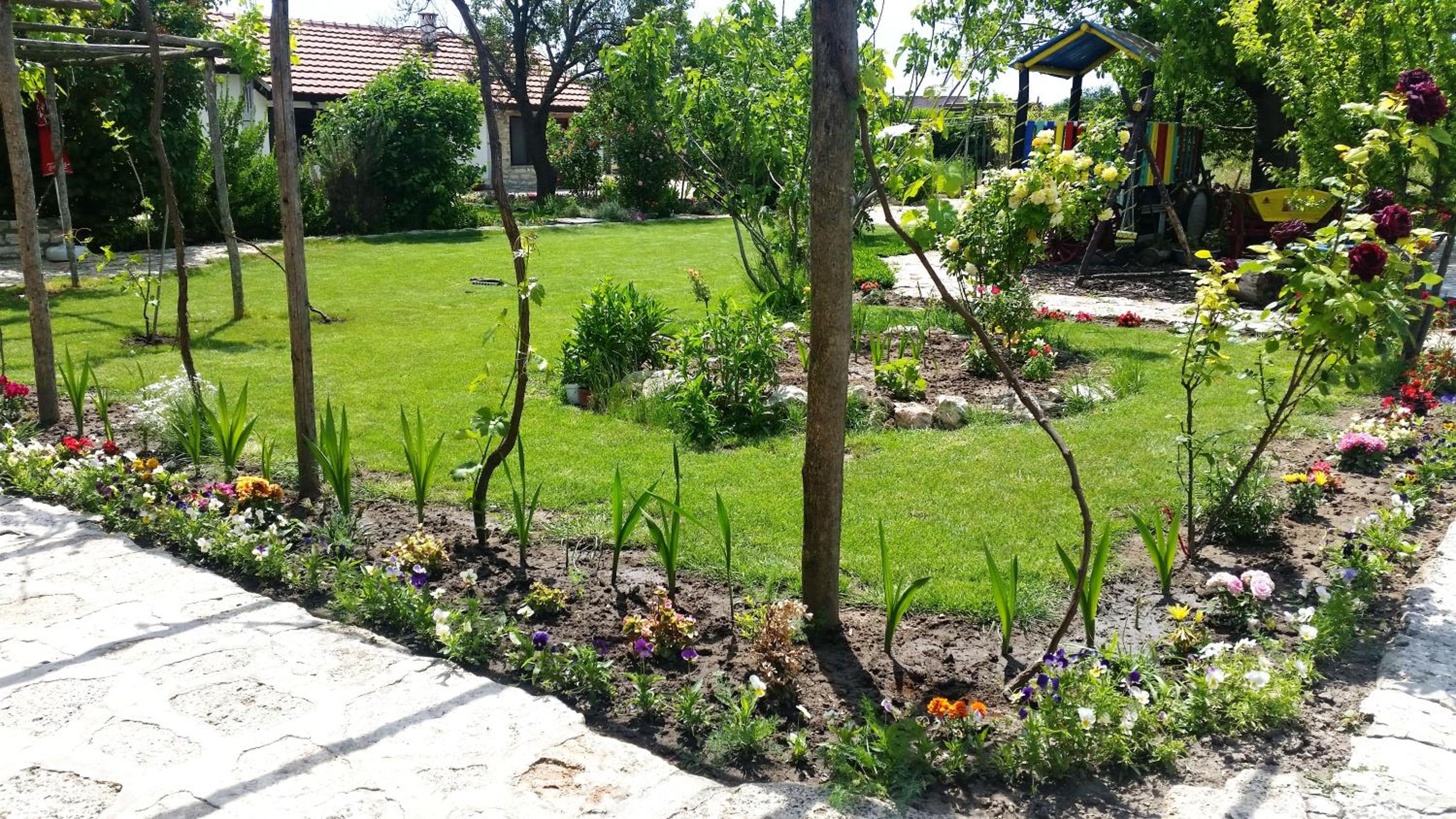 Photo 43