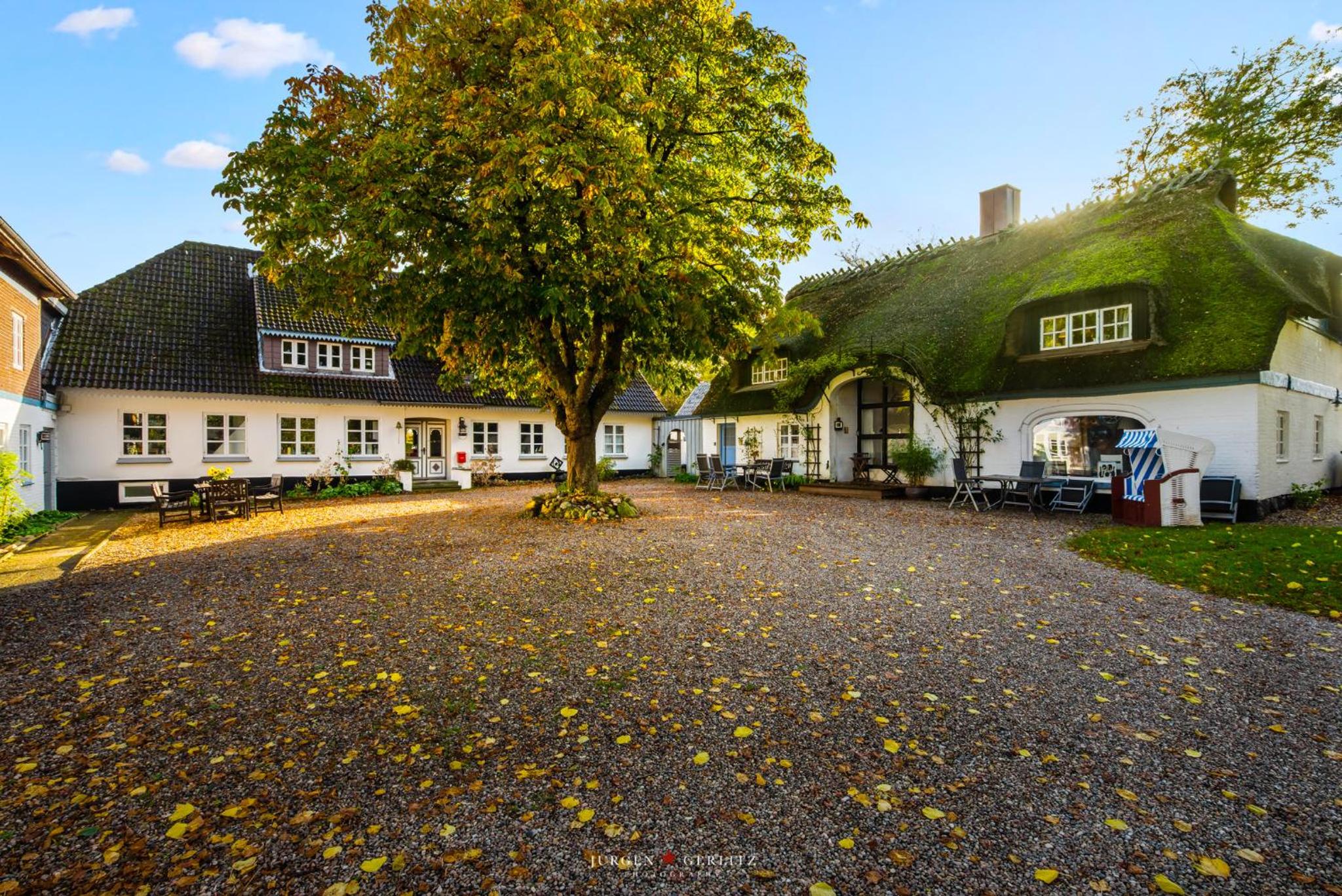 Dornröschen 1