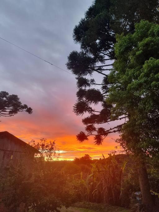 Cabana Charmosa e Horta Orgânica