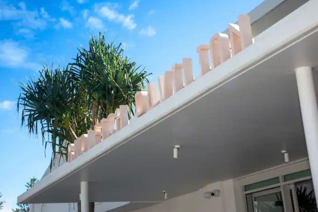 Top Floor Oasis