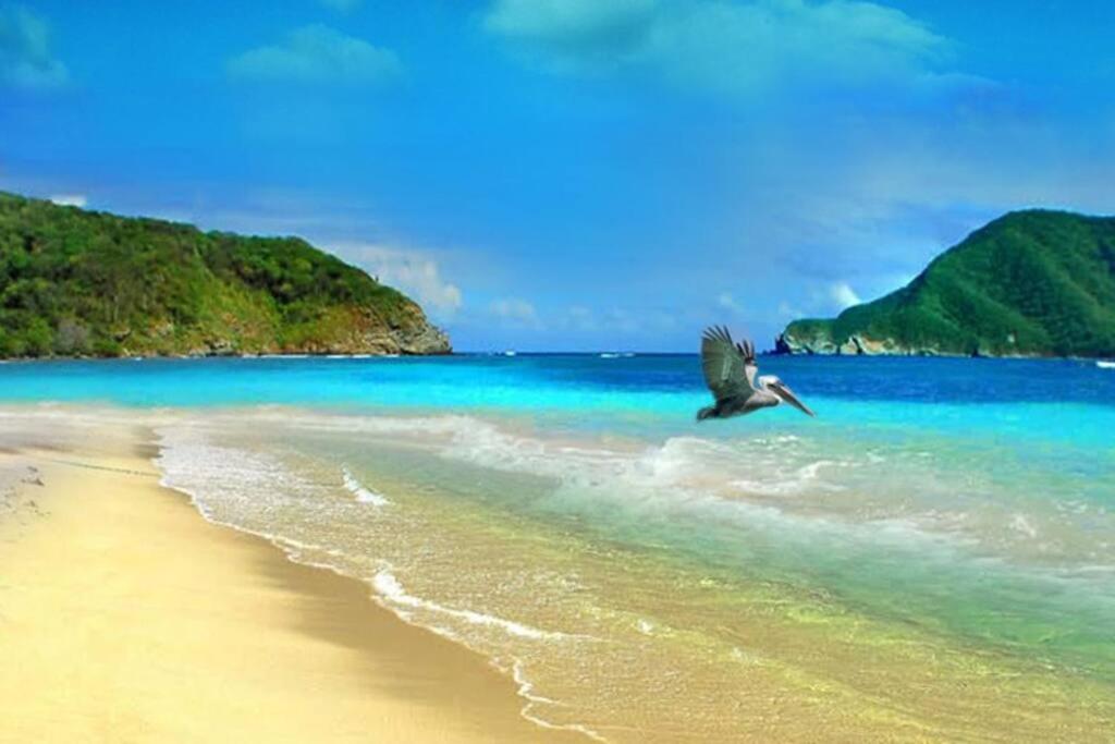 Disfruta el Caribe