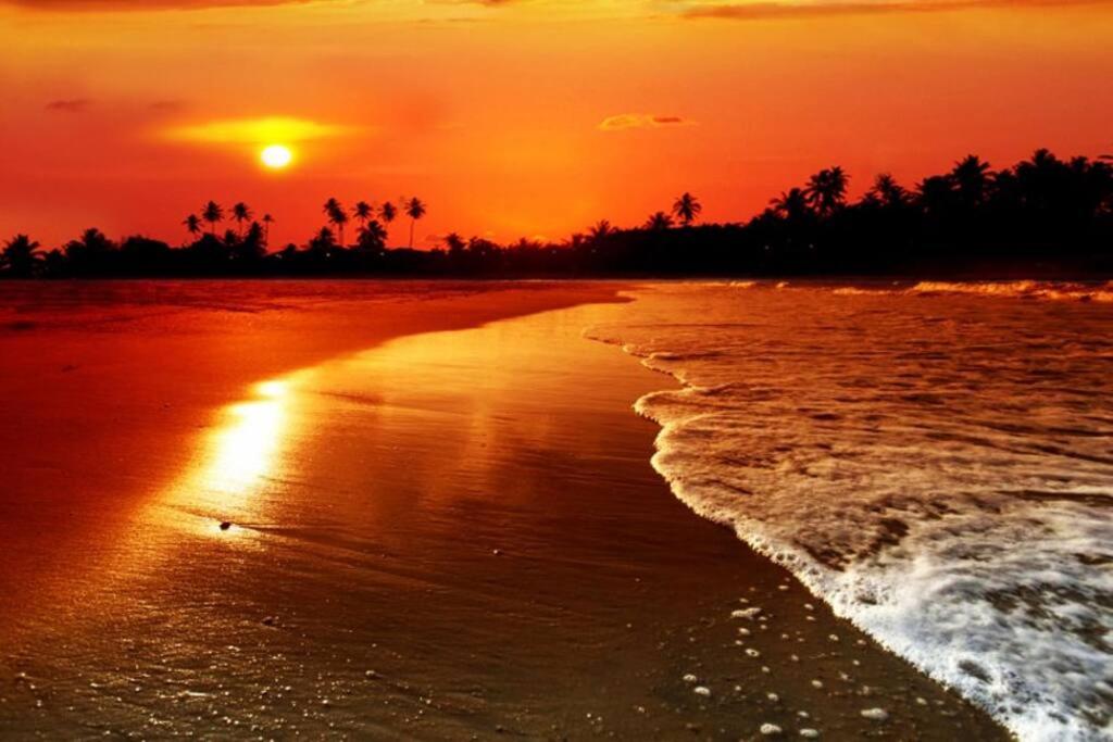 Disfruta el Caribe