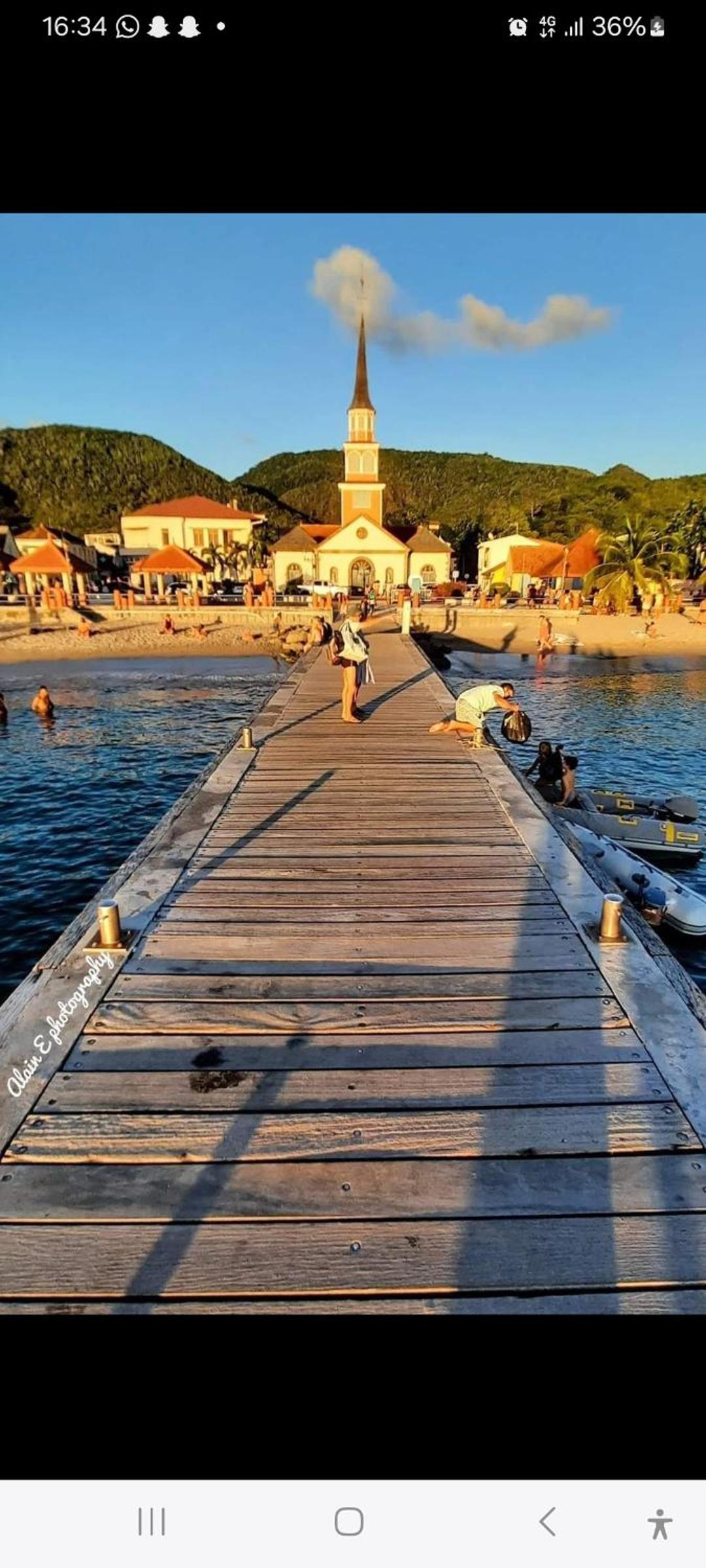 Abricotier à proximité des plages du sud view 2