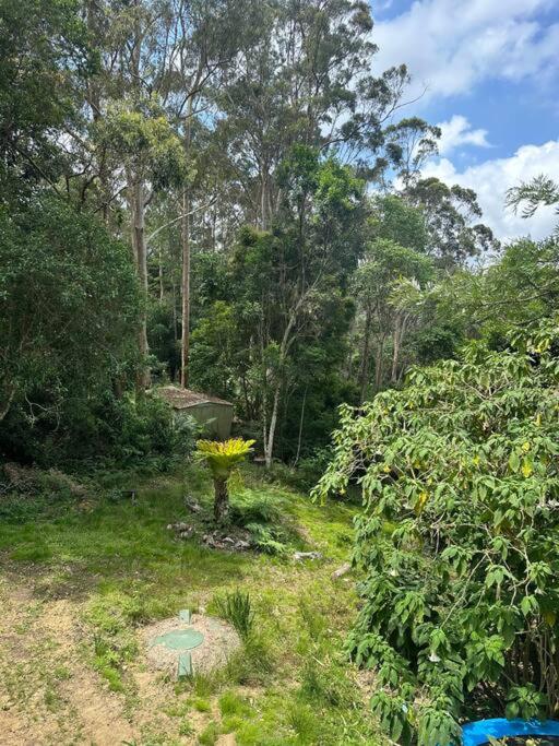 The Mt Nebo Green House