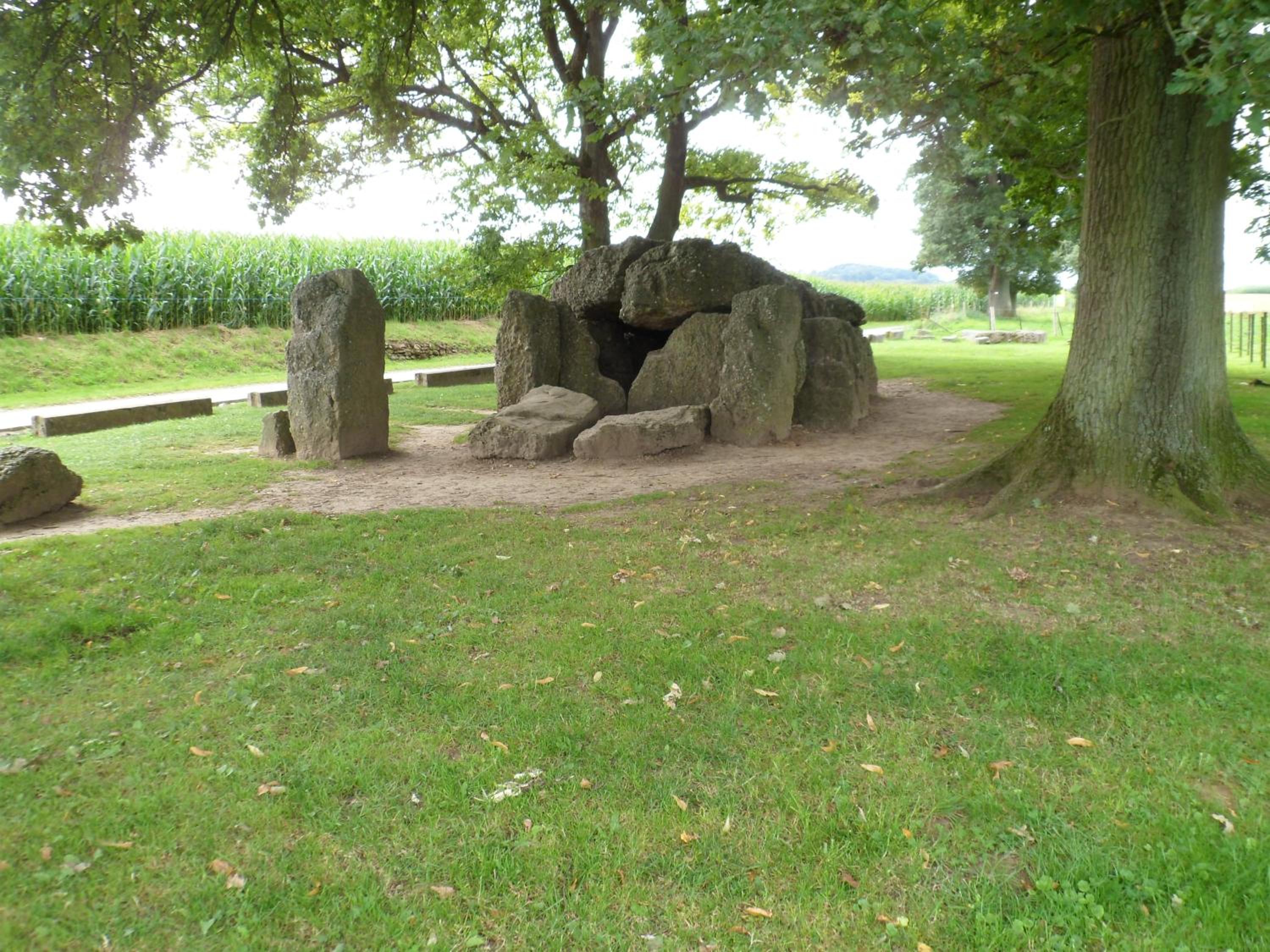 Photo 46