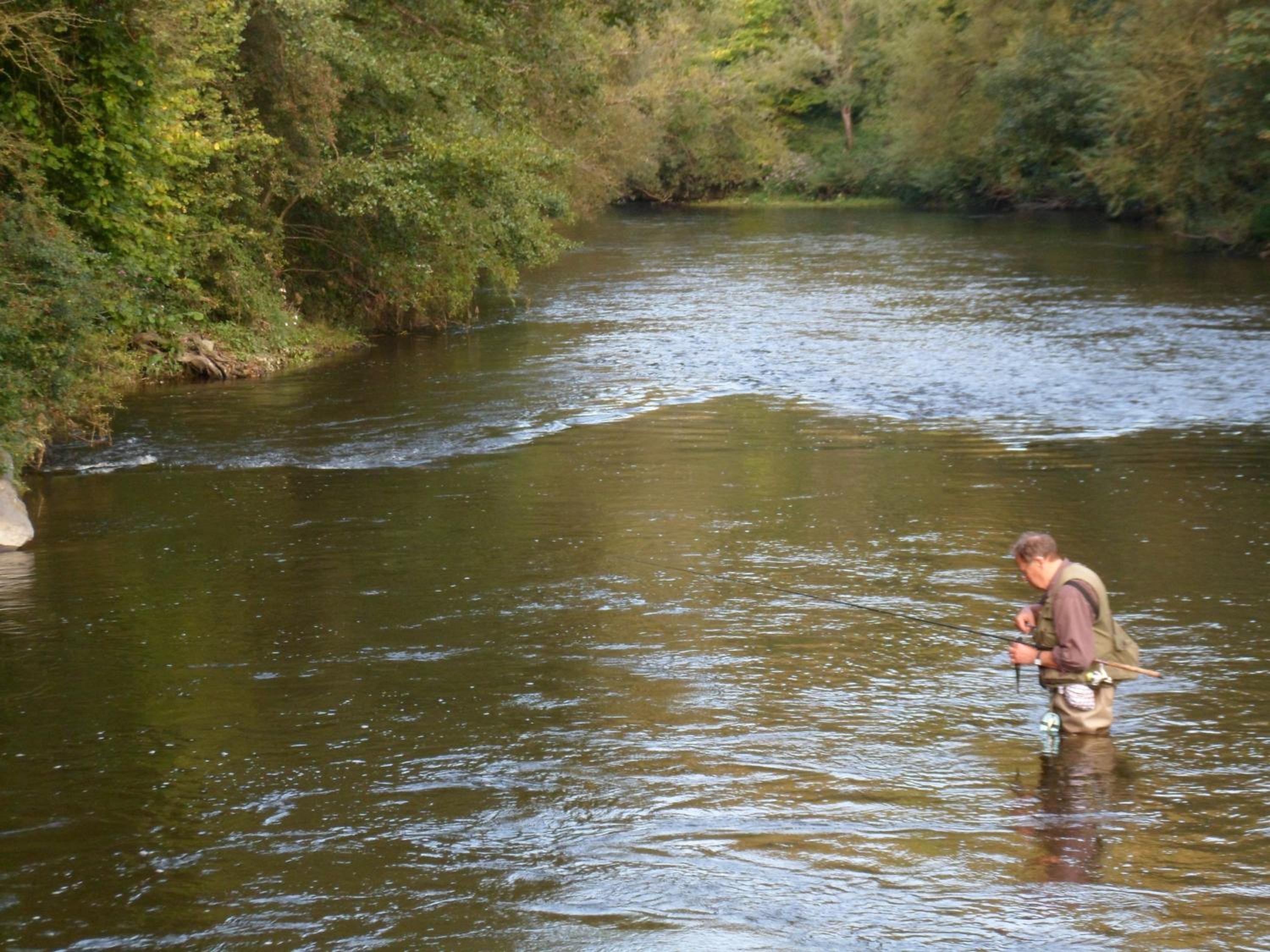 Photo 29